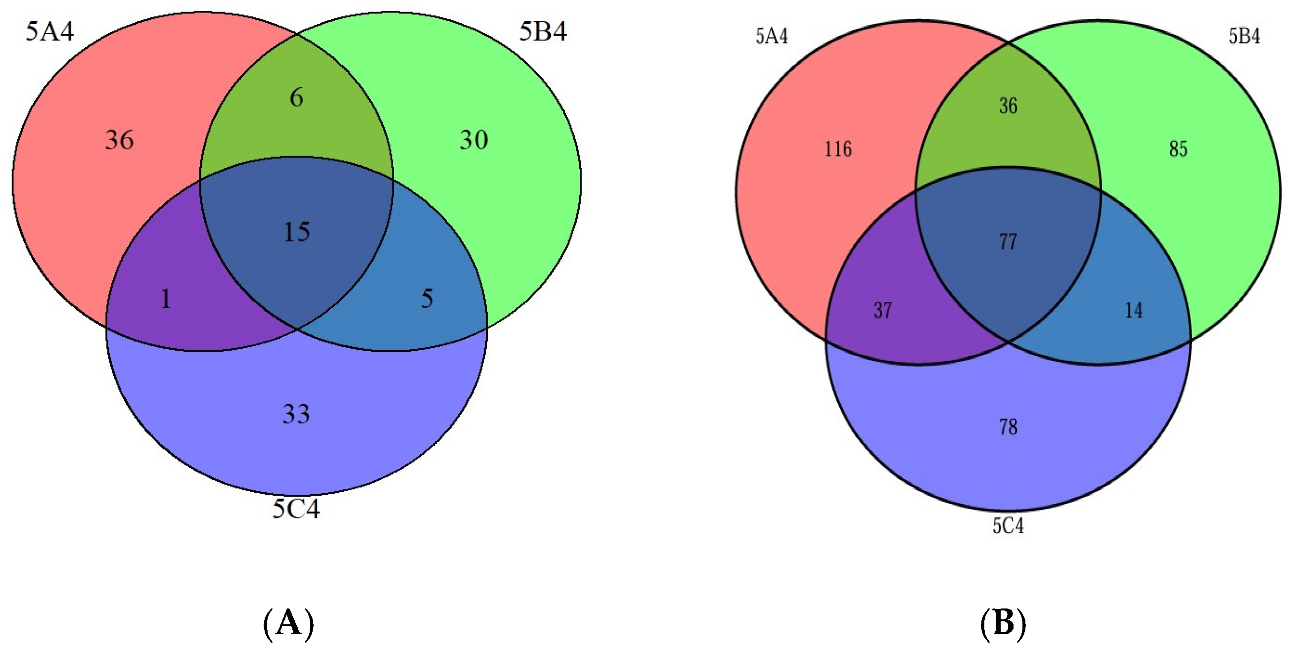 Agronomy 14 02737 g001