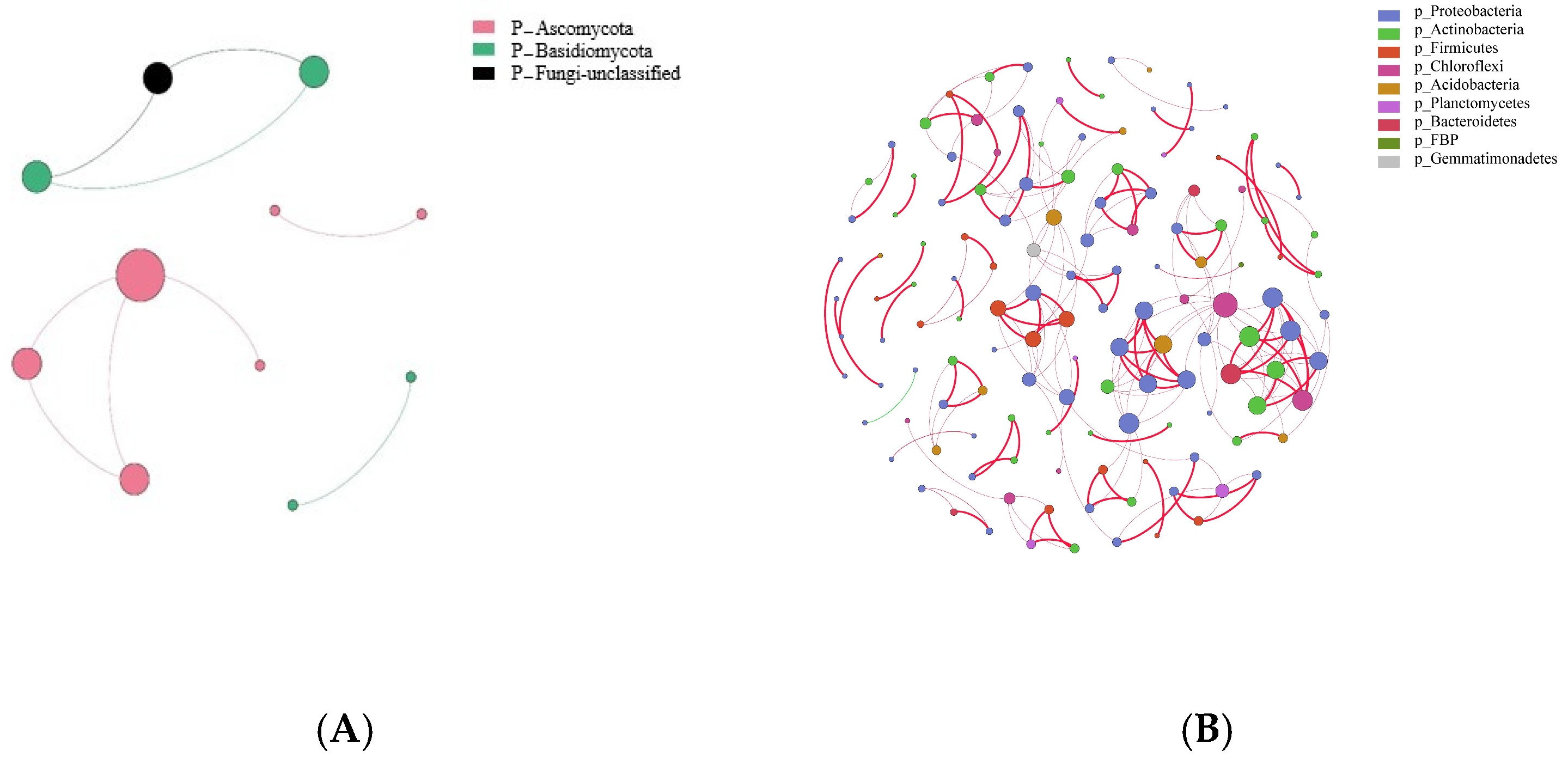 Agronomy 14 02737 g007