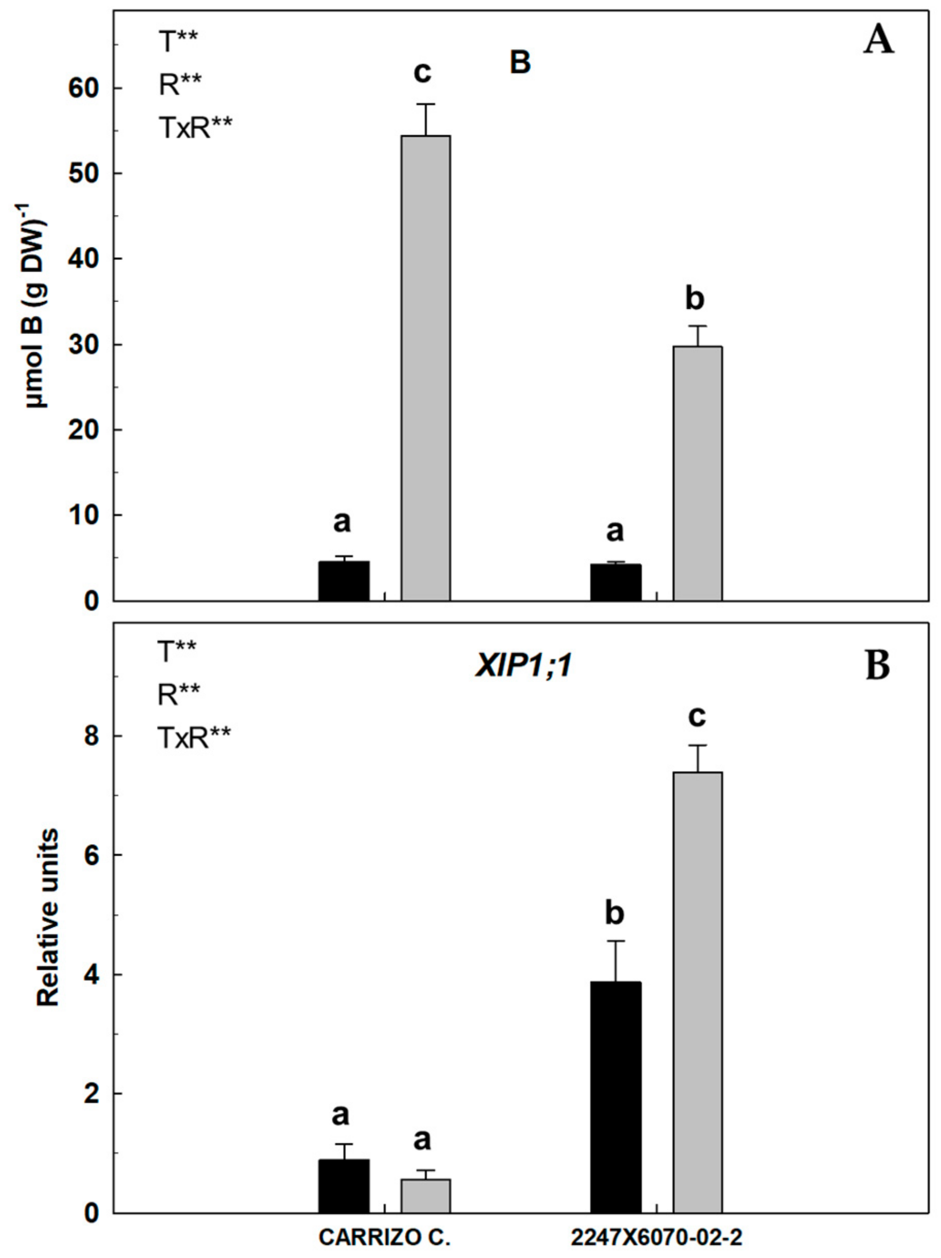 Agronomy 14 02741 g001 Agronomy 14 02741 g001