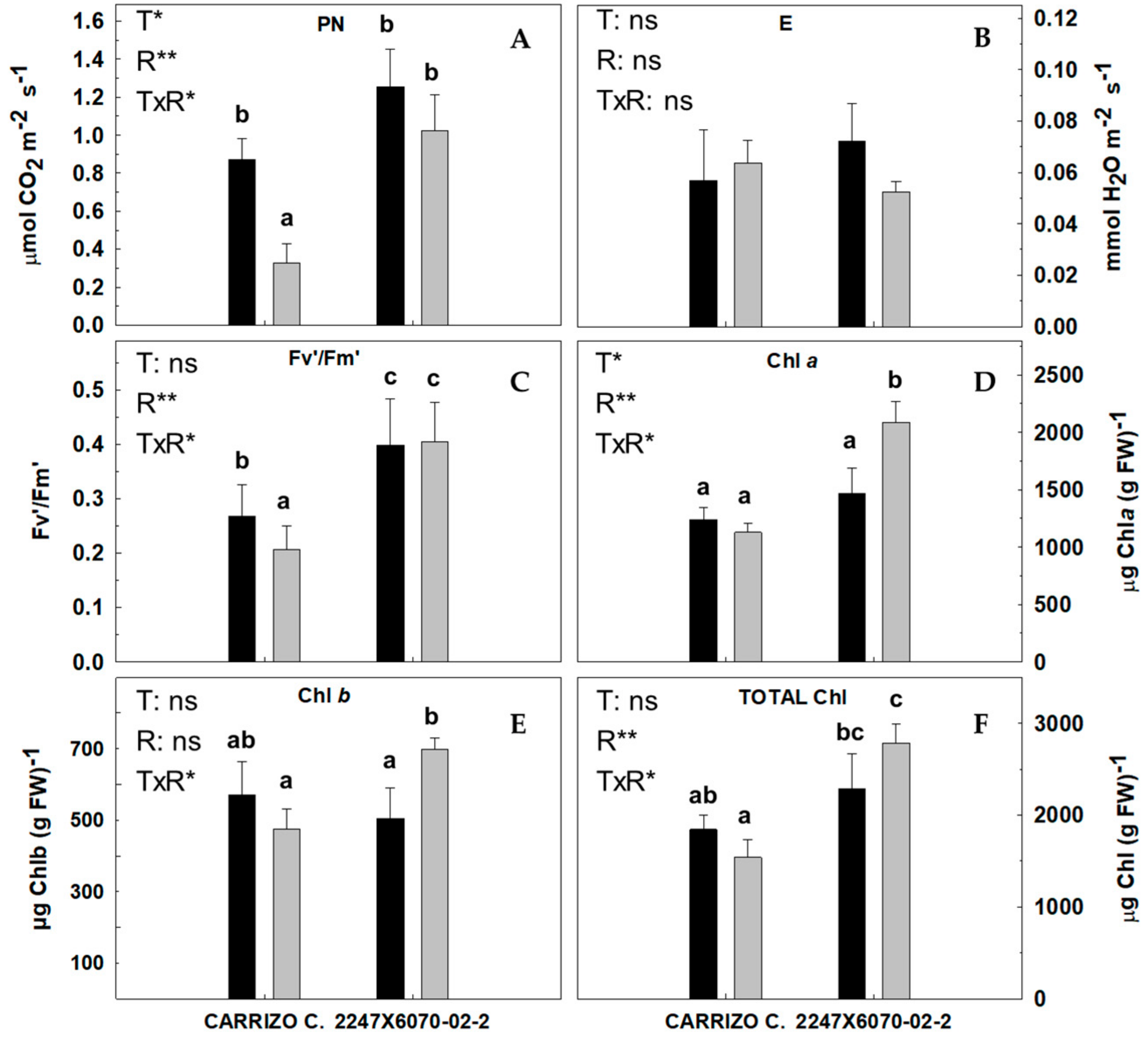 Agronomy 14 02741 g002 Agronomy 14 02741 g002