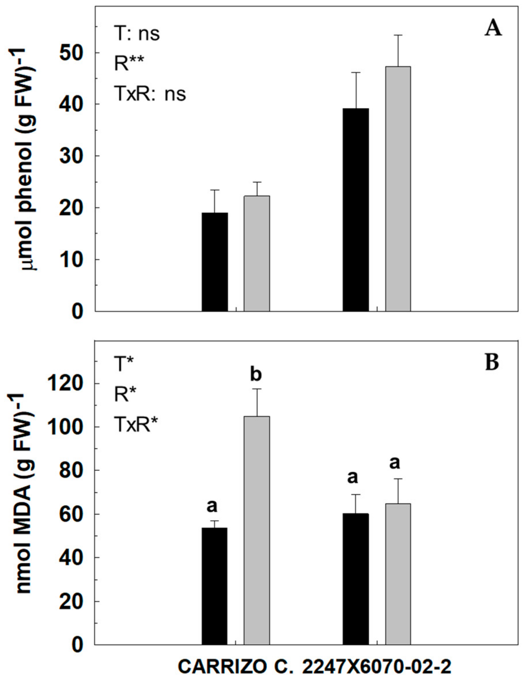 Agronomy 14 02741 g003 Agronomy 14 02741 g003