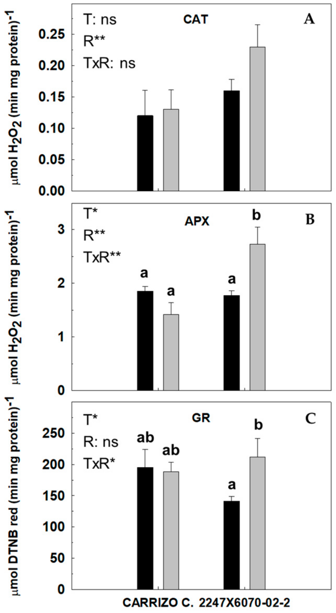 Agronomy 14 02741 g004 Agronomy 14 02741 g004