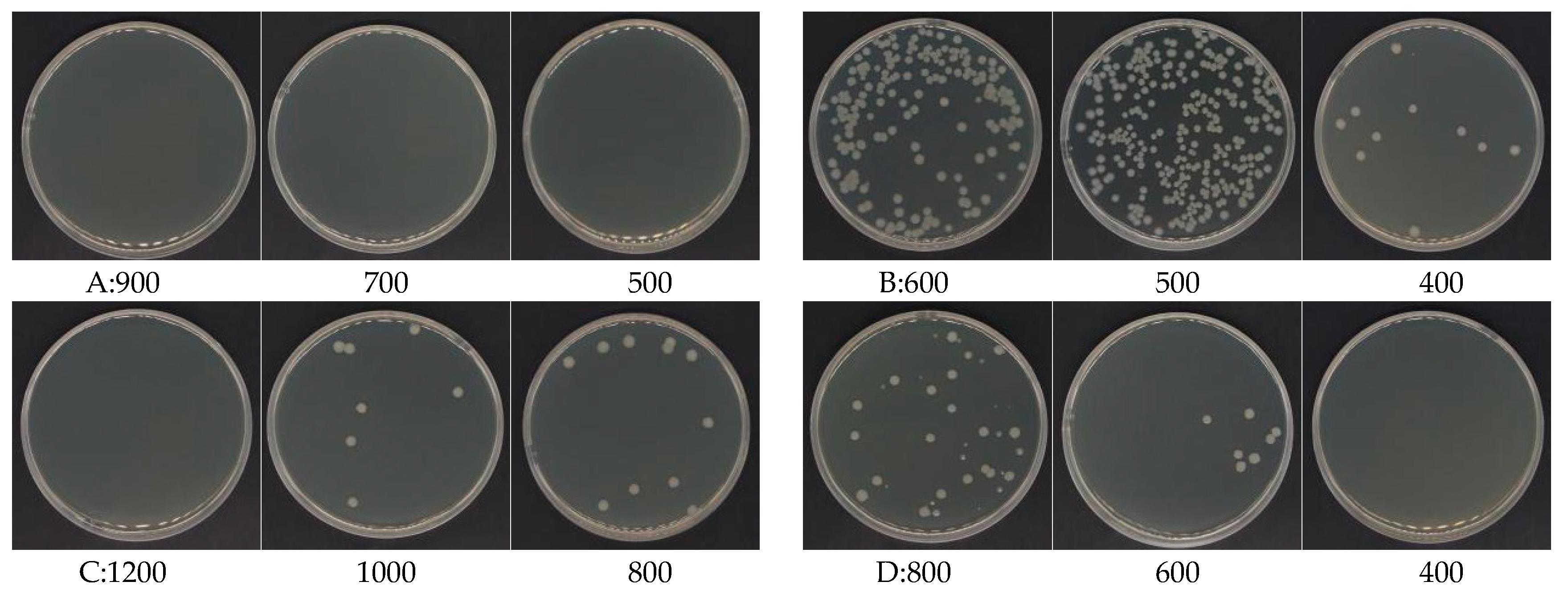 Agronomy 14 02797 g003a