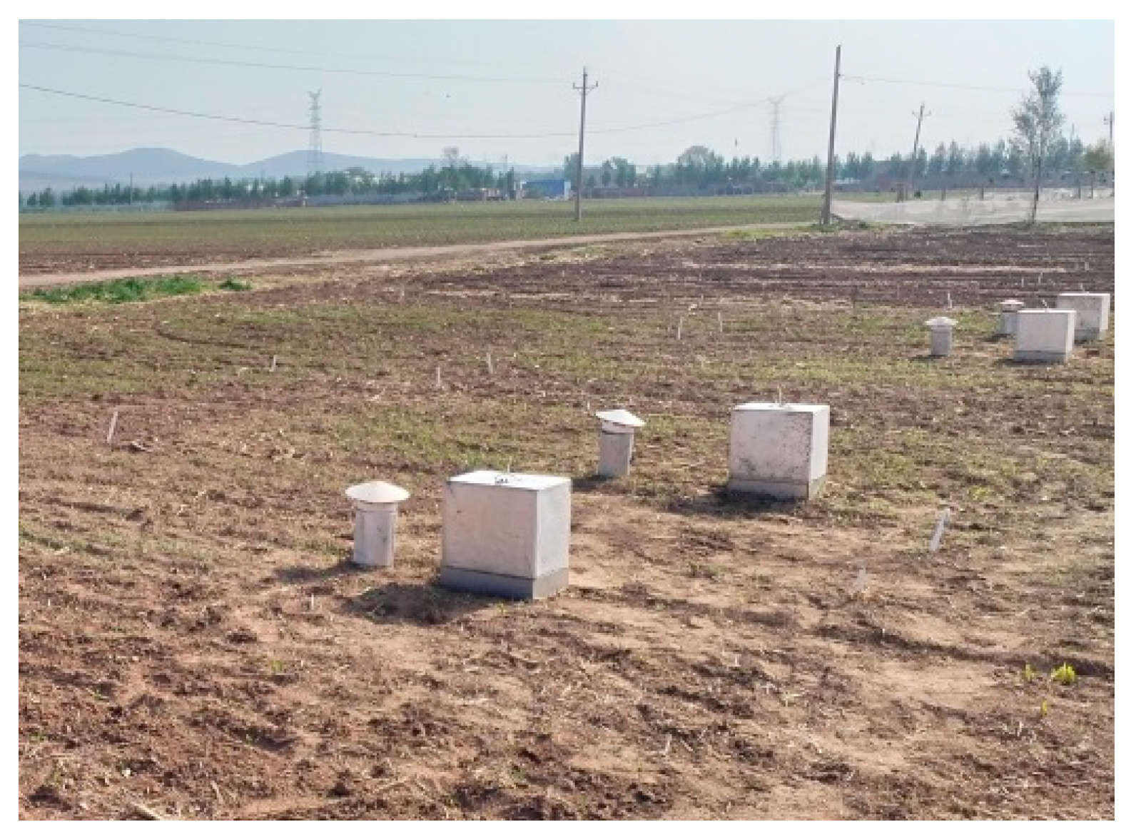 Agronomy 14 02798 g001