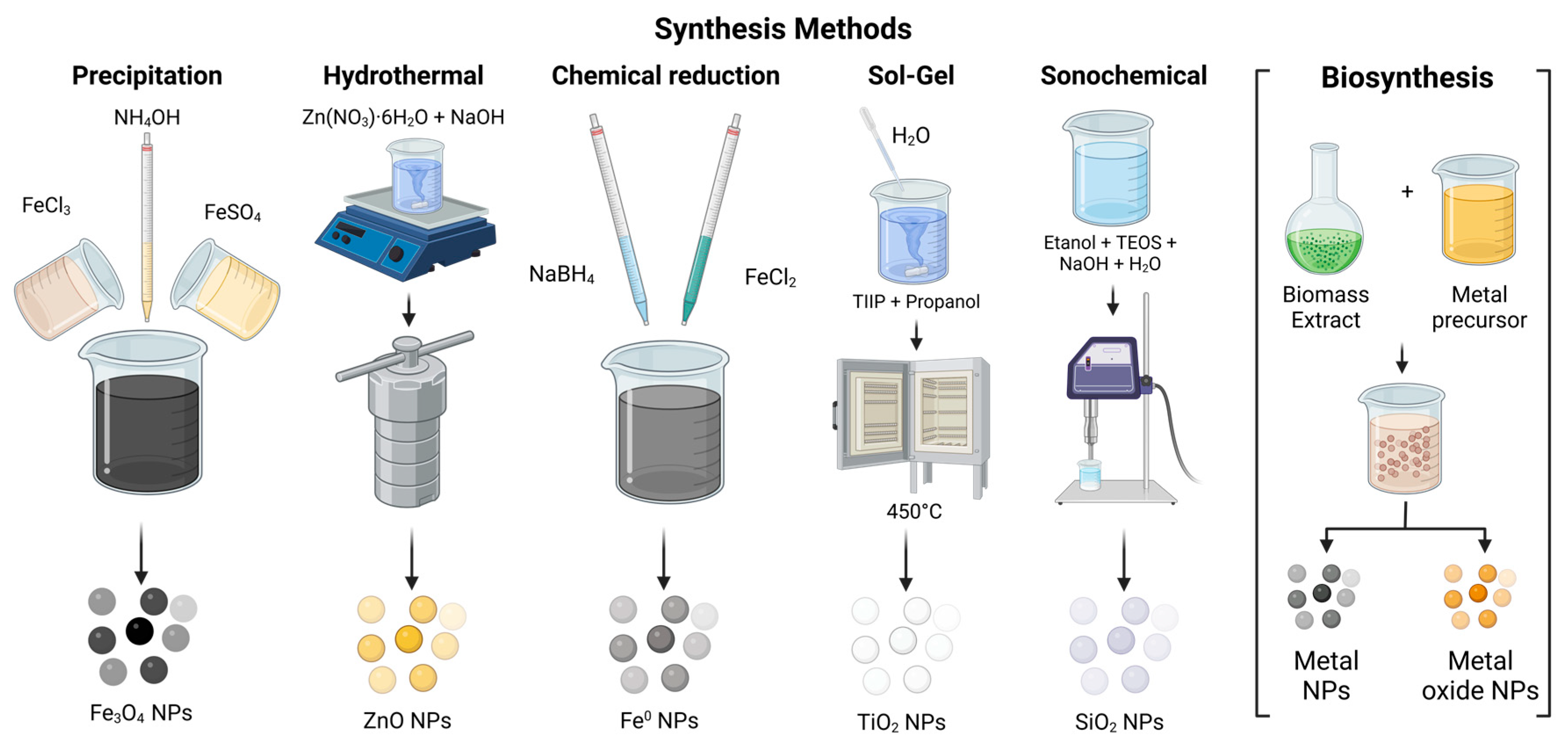 Agronomy 14 02822 g005