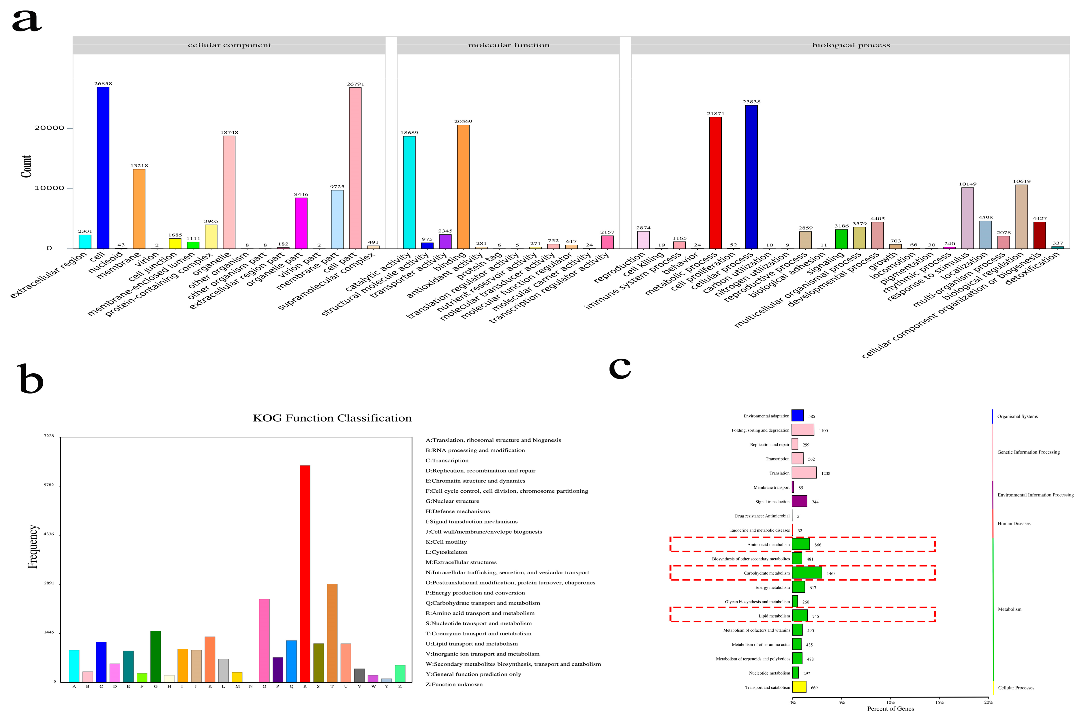 Agronomy 14 02824 g002