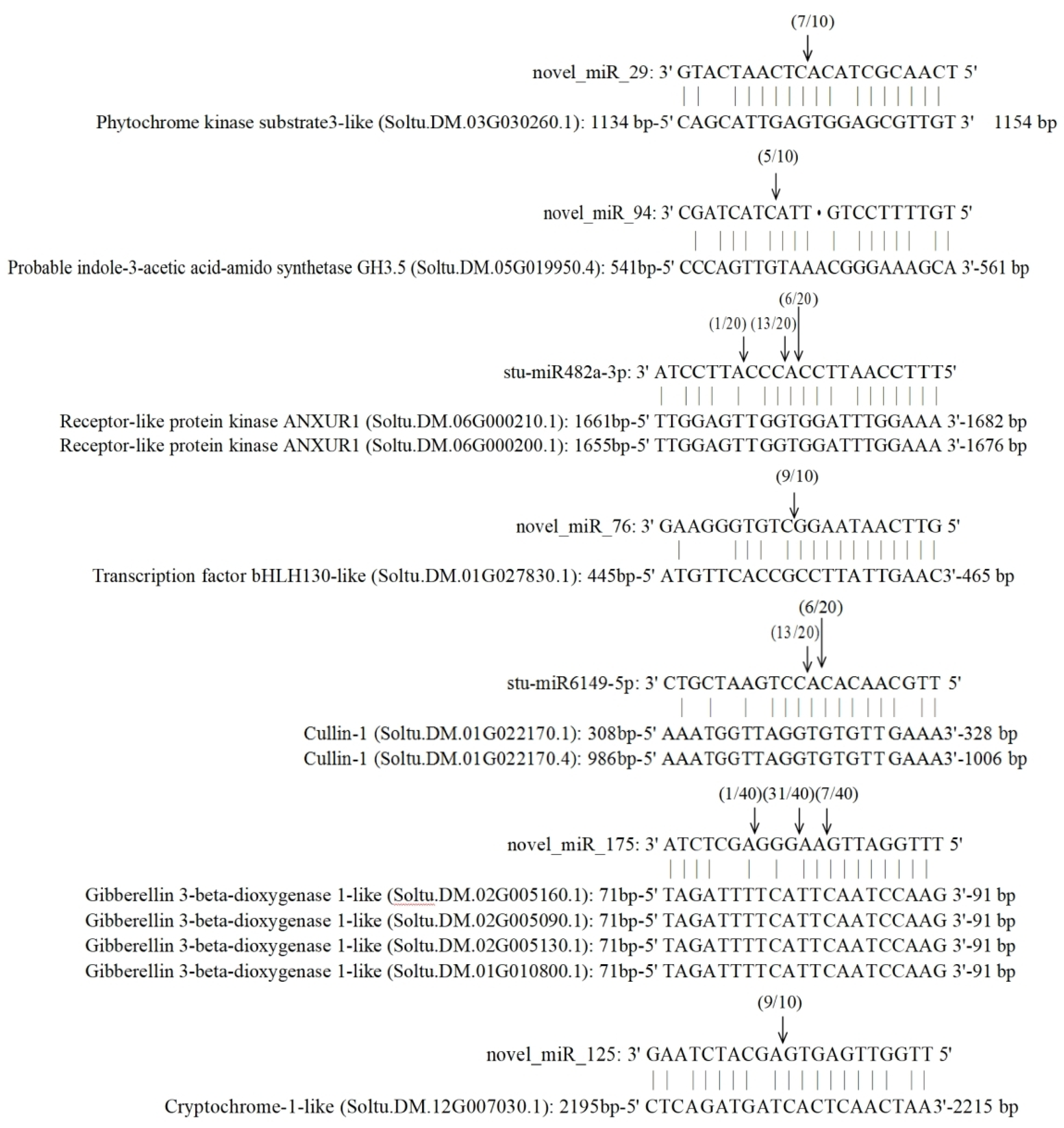 Agronomy 14 02833 g009 Agronomy 14 02833 g009