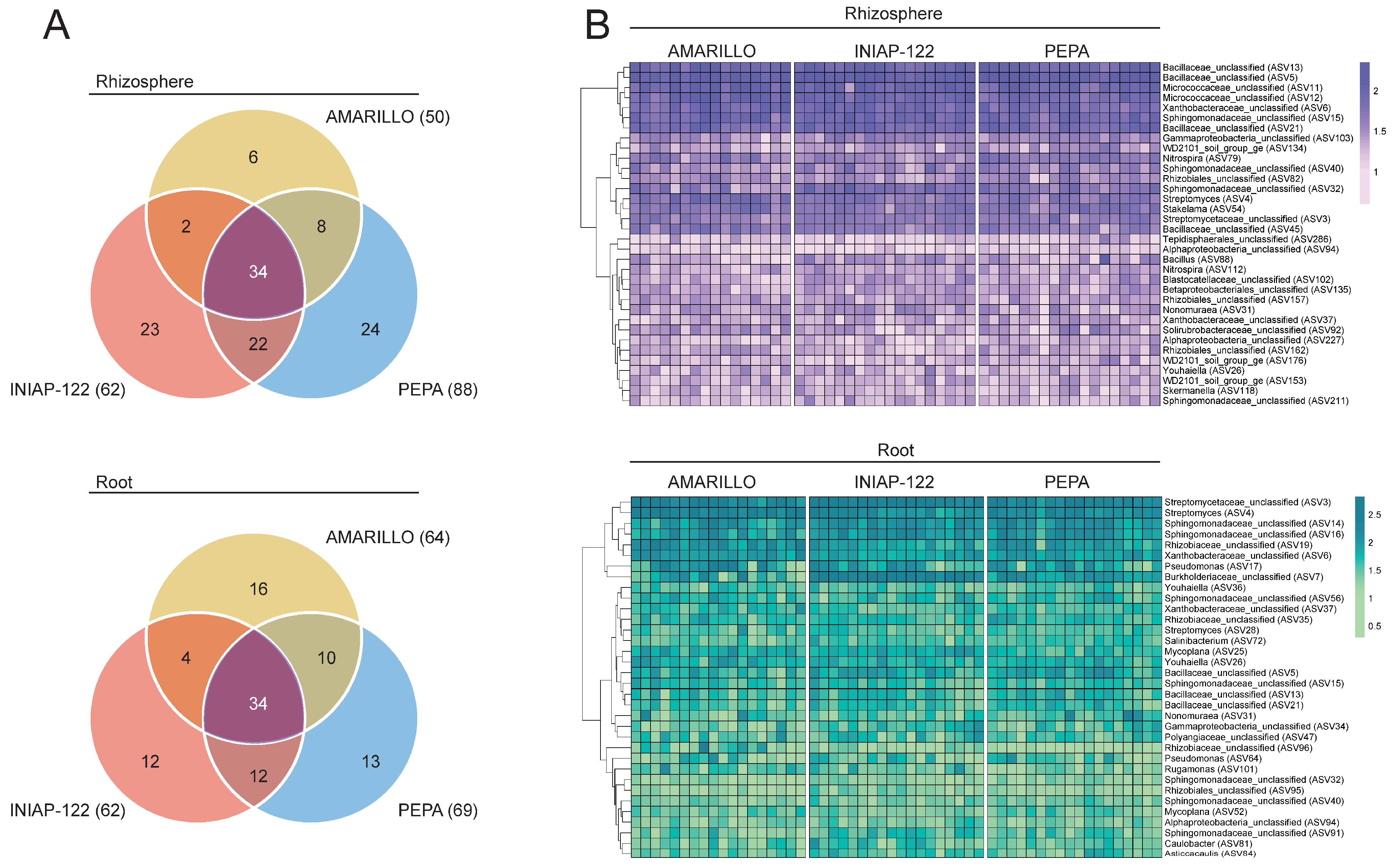 Agronomy 14 02878 g004