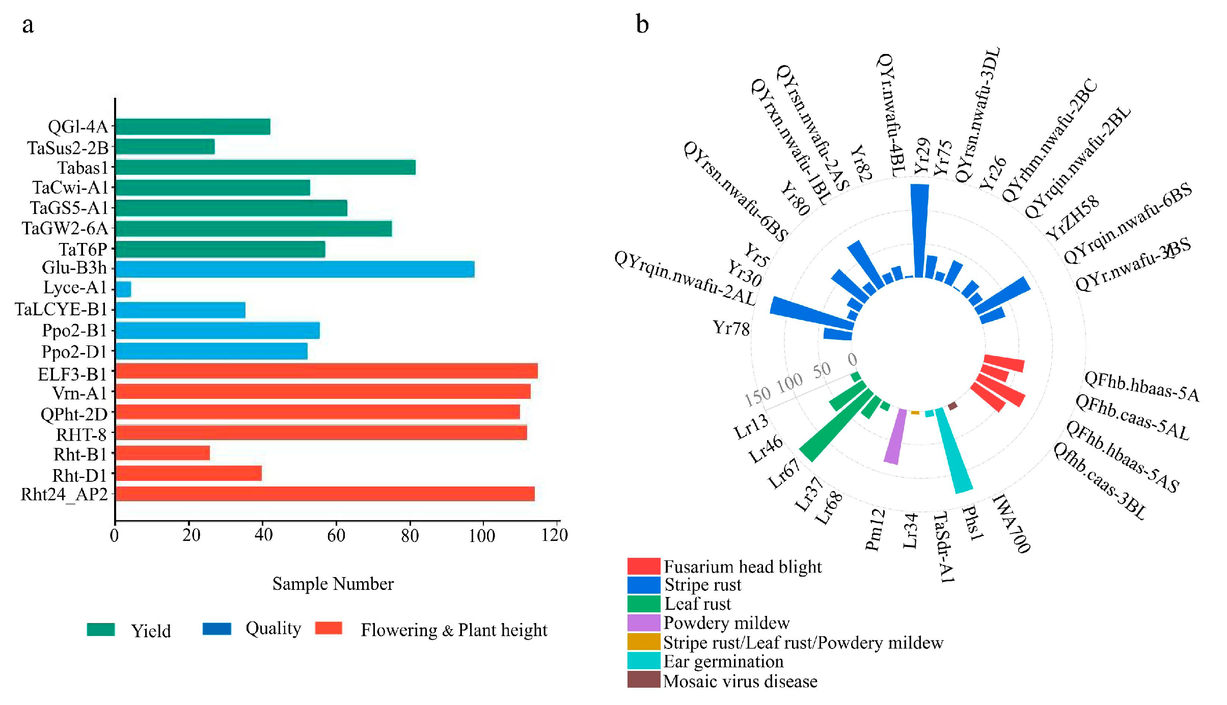 Agronomy 14 02910 g002
