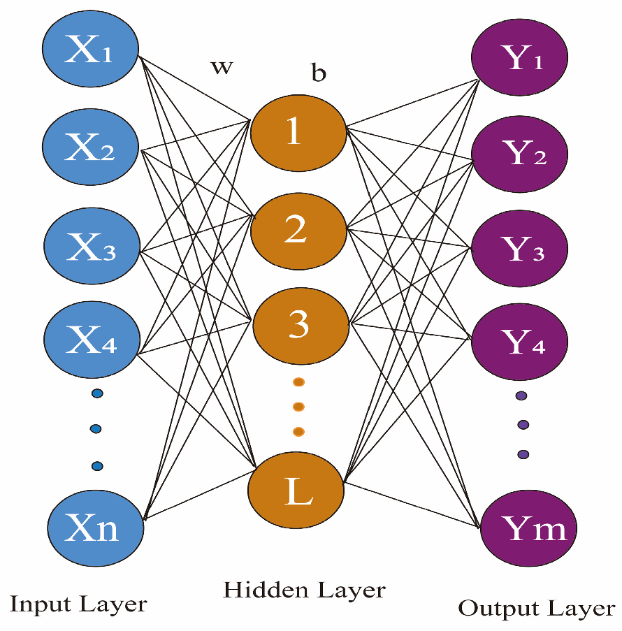 Agronomy 14 02915 g001