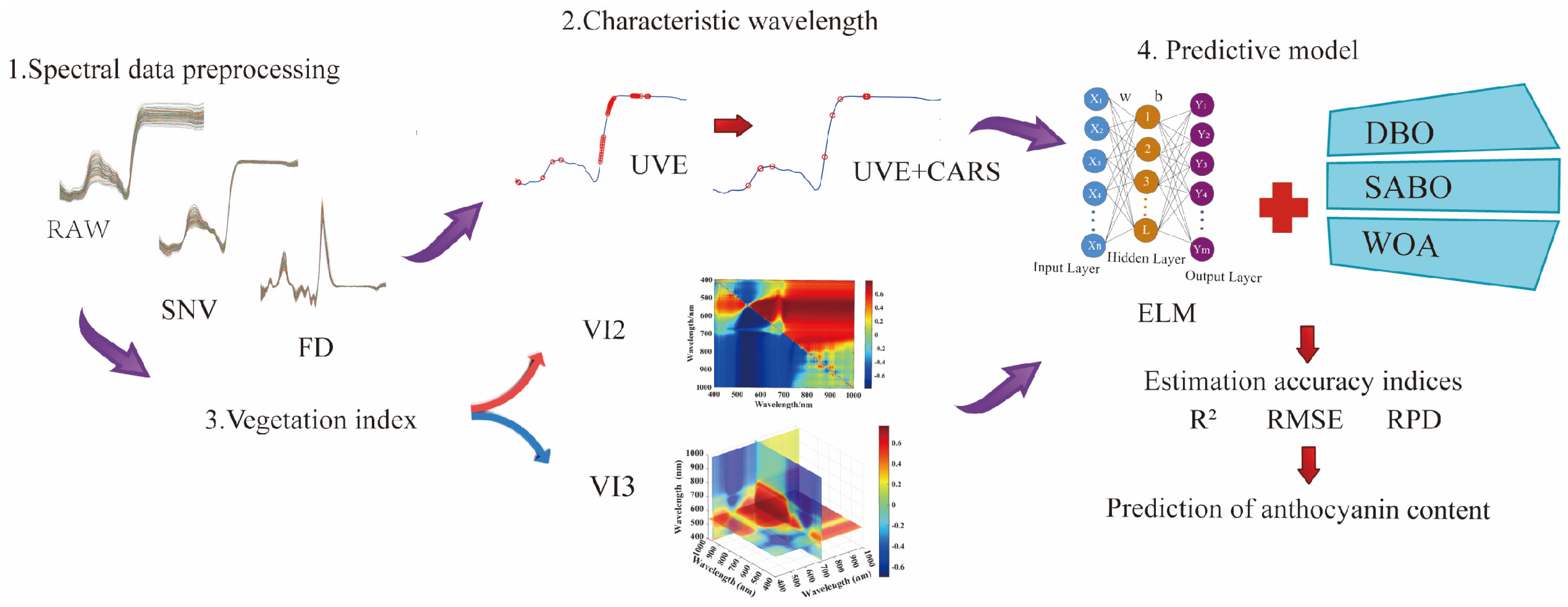 Agronomy 14 02915 g003