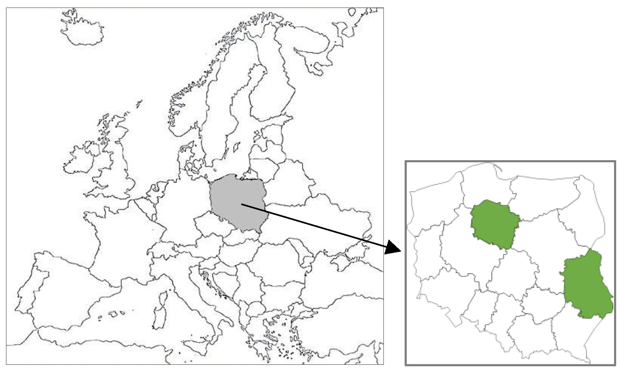 Agronomy 14 02921 g001