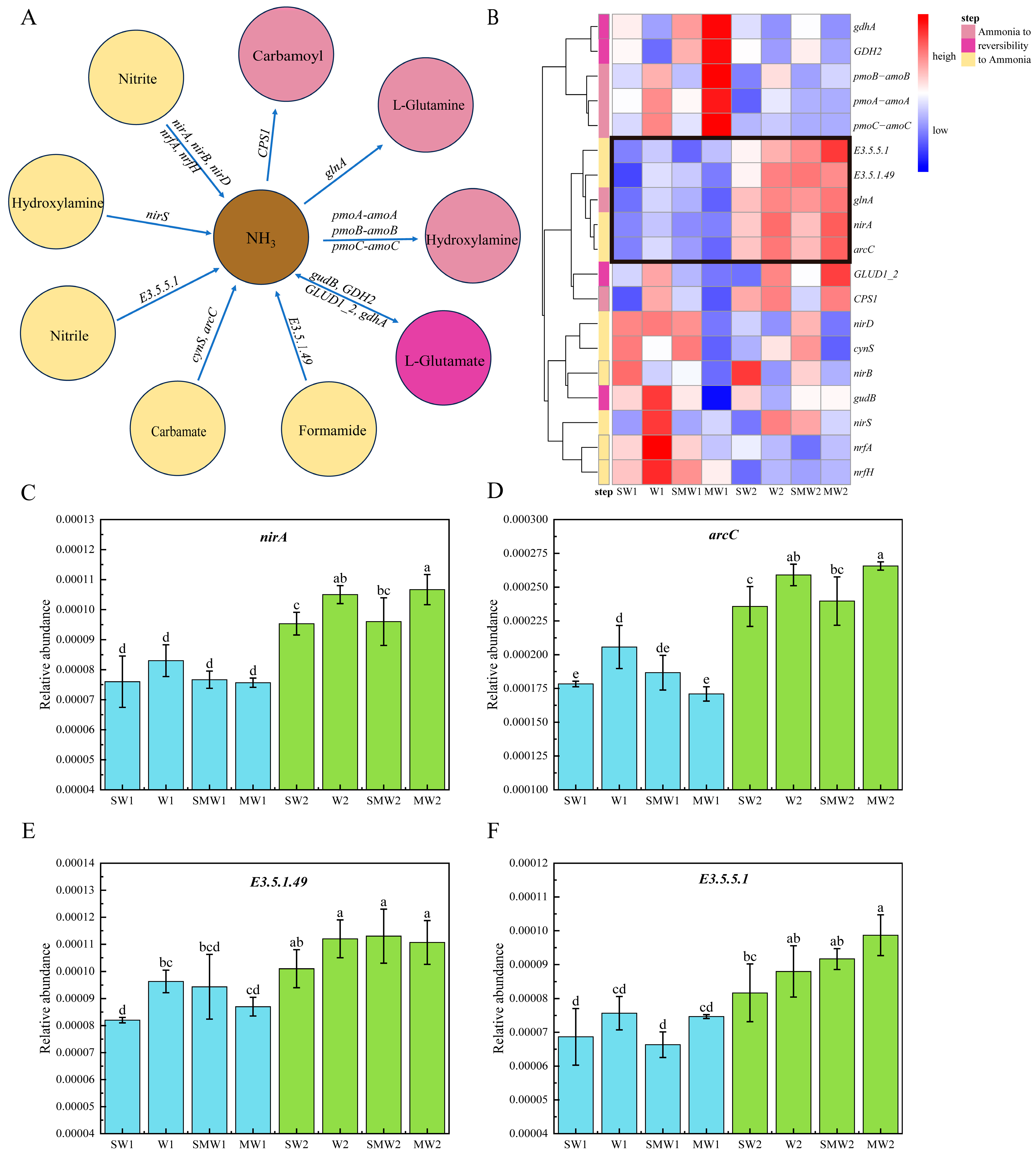 Agronomy 14 02927 g003
