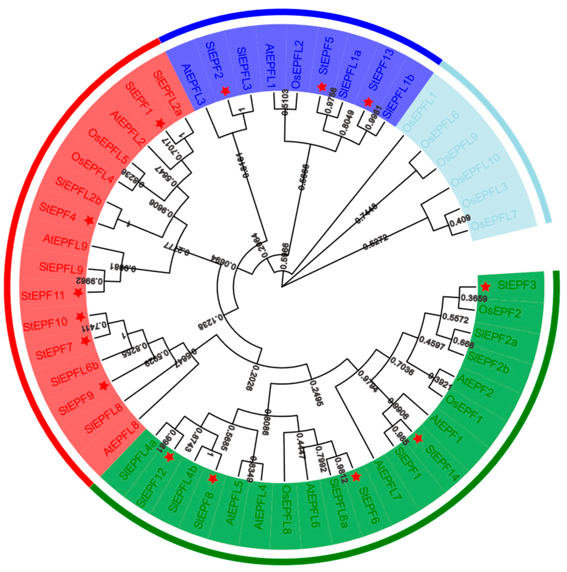 Agronomy 14 02948 g004