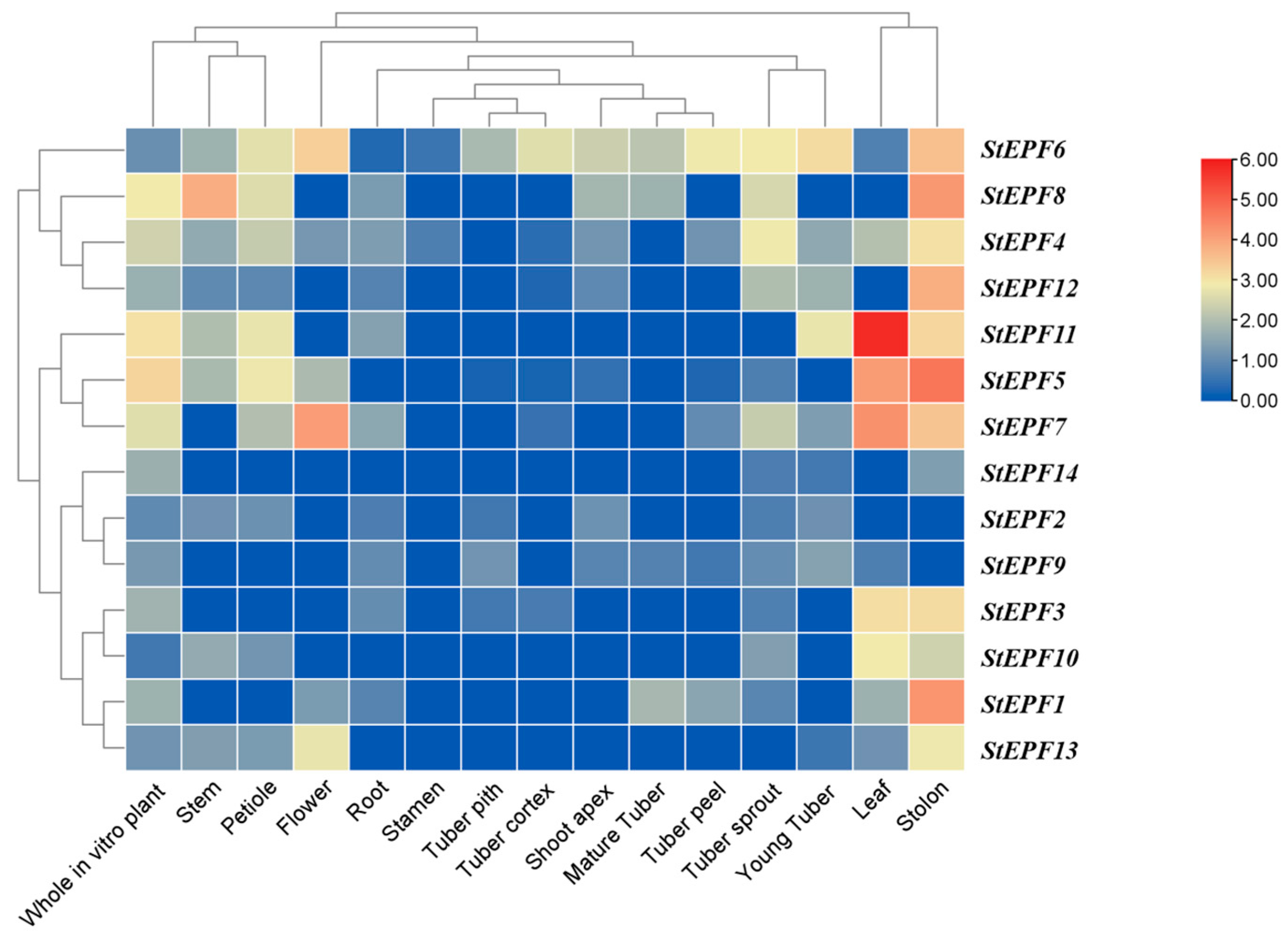 Agronomy 14 02948 g008