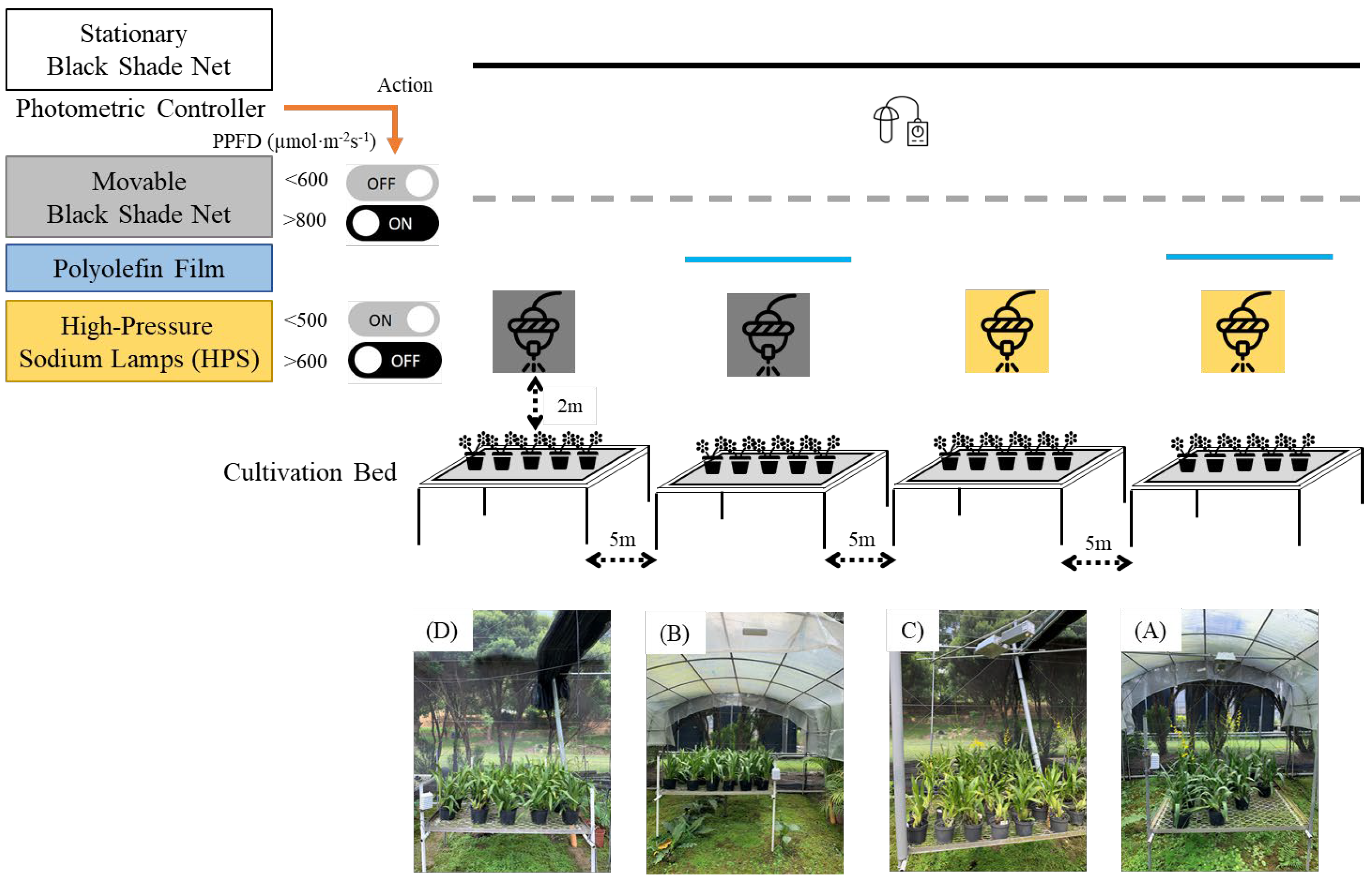 Agronomy 14 02951 g002