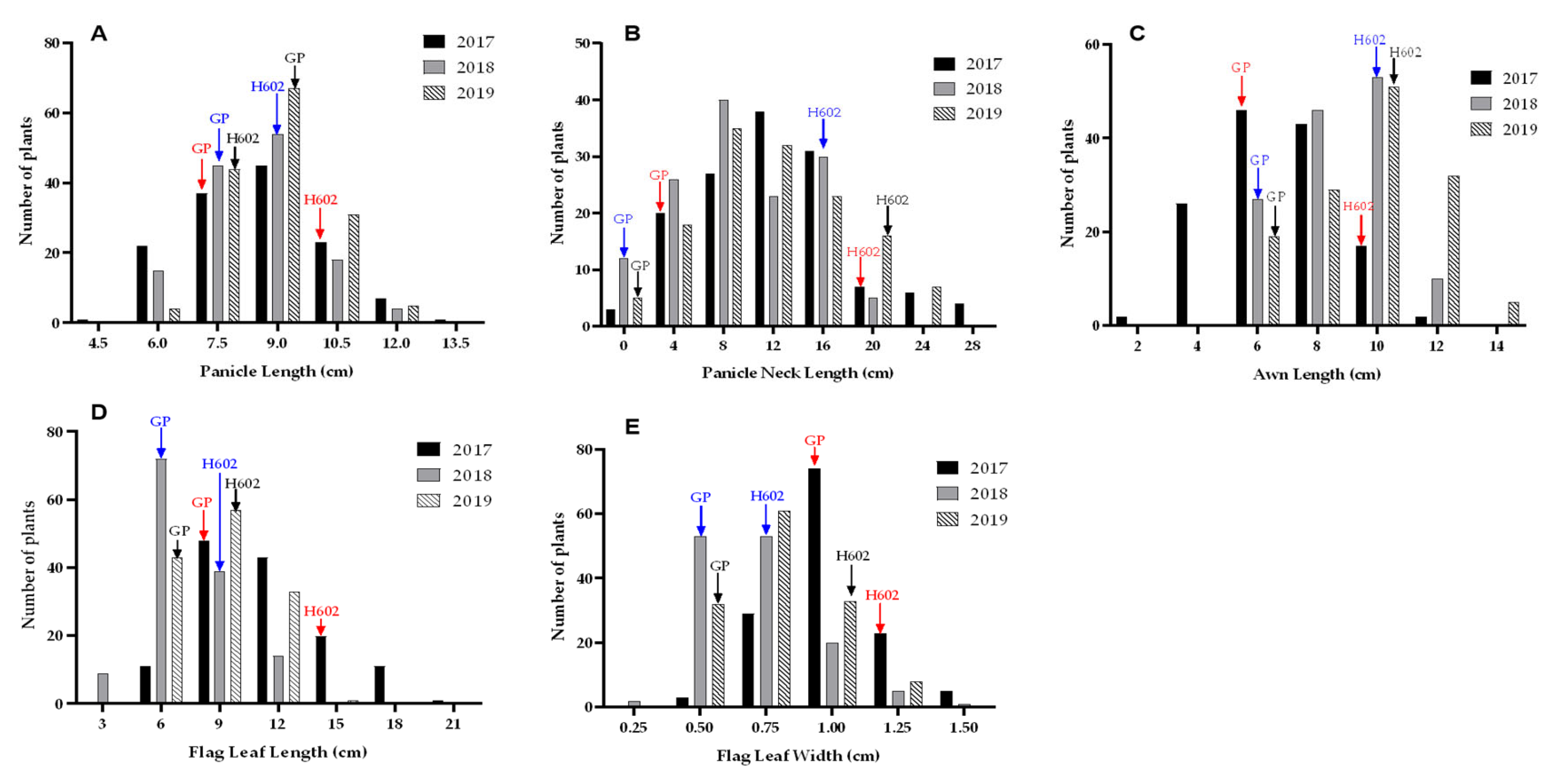 Agronomy 14 02953 g001 Agronomy 14 02953 g001
