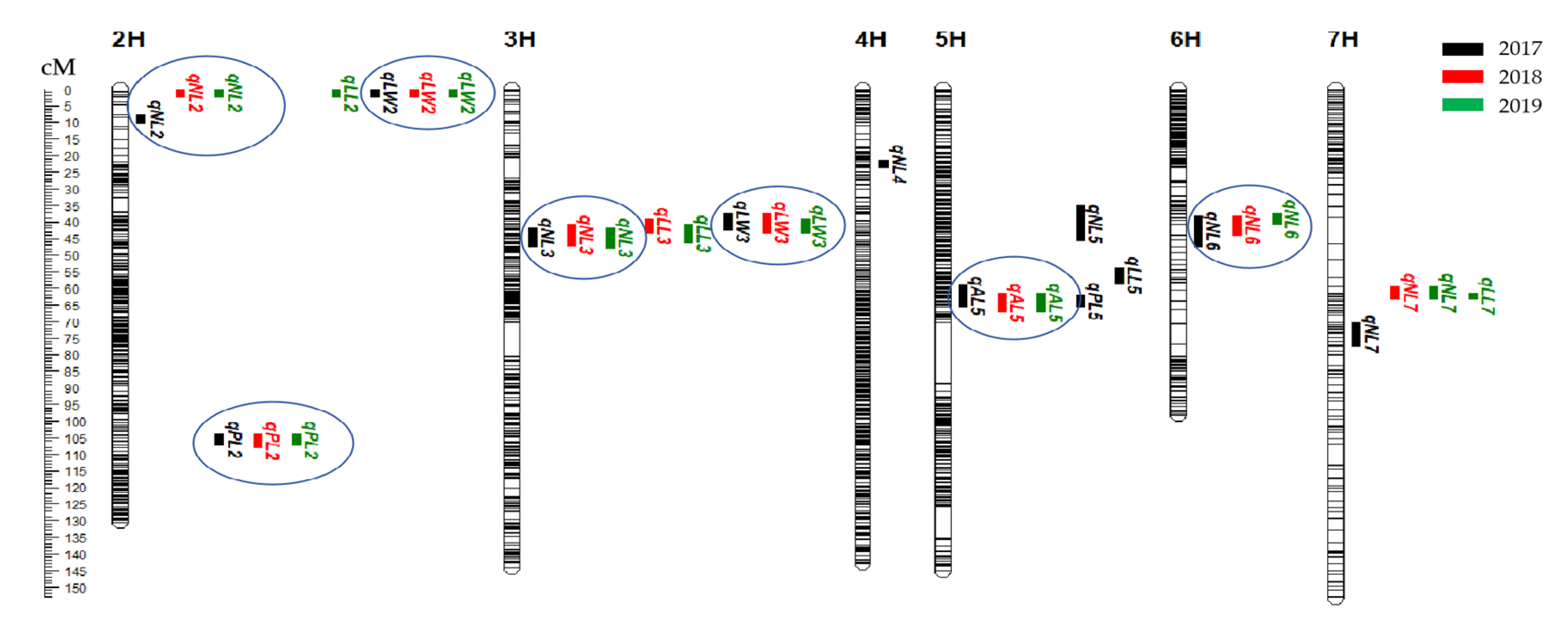 Agronomy 14 02953 g002 Agronomy 14 02953 g002