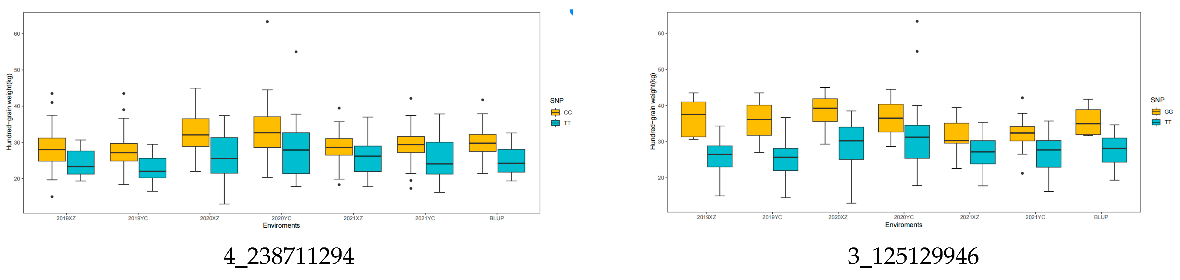 Agronomy 14 02954 g004a