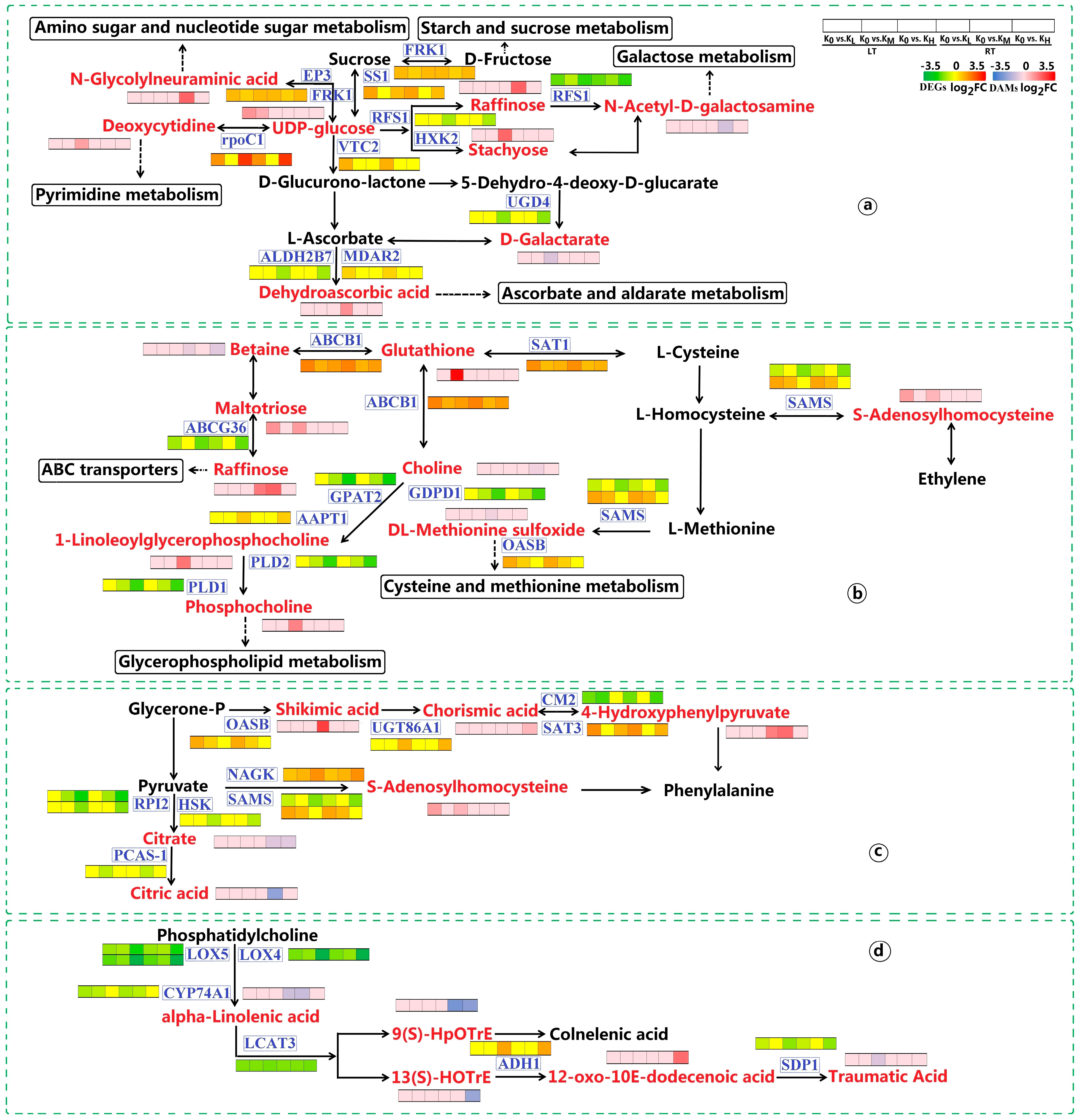 Agronomy 14 02983 g008