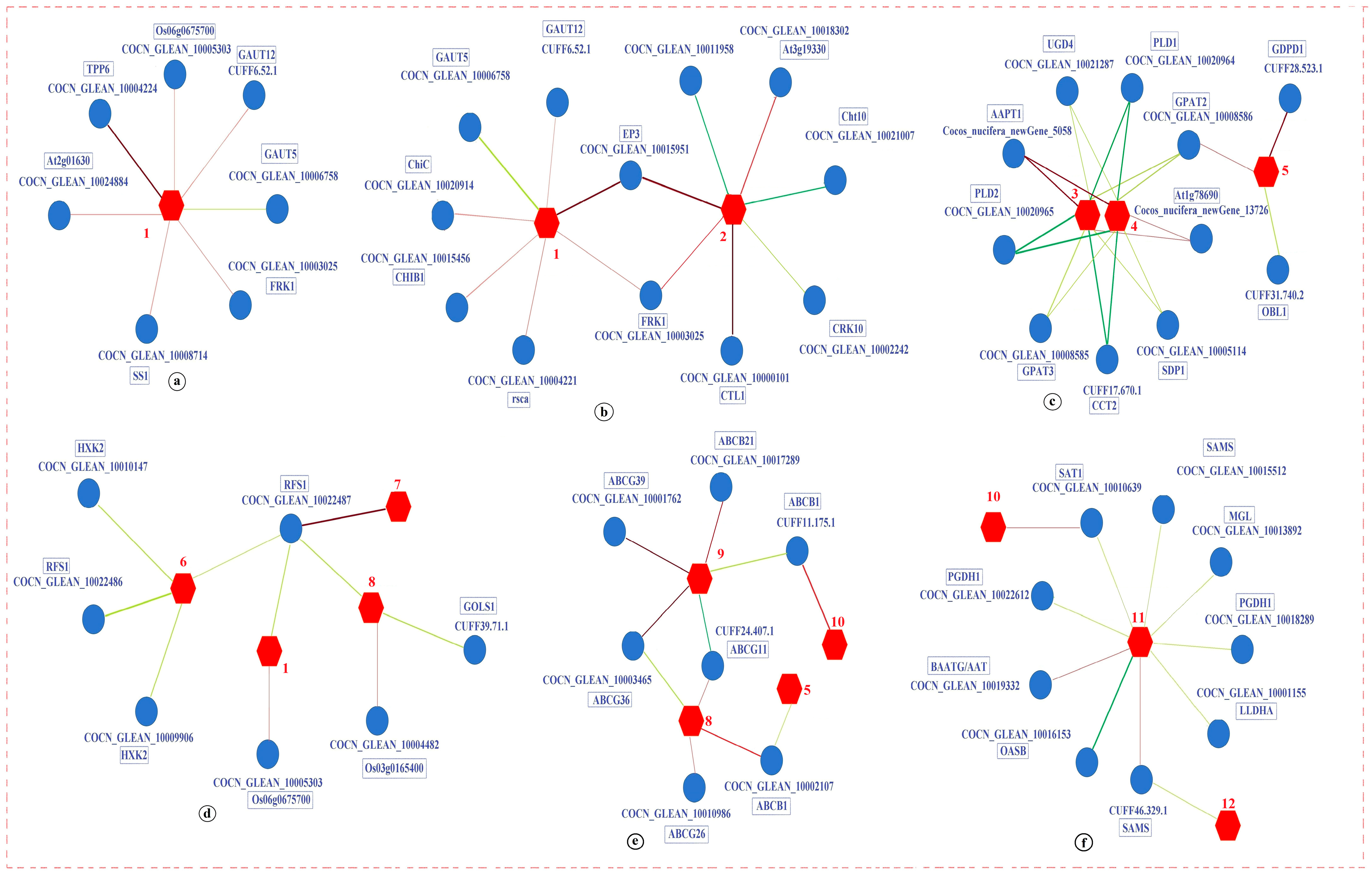 Agronomy 14 02983 g010