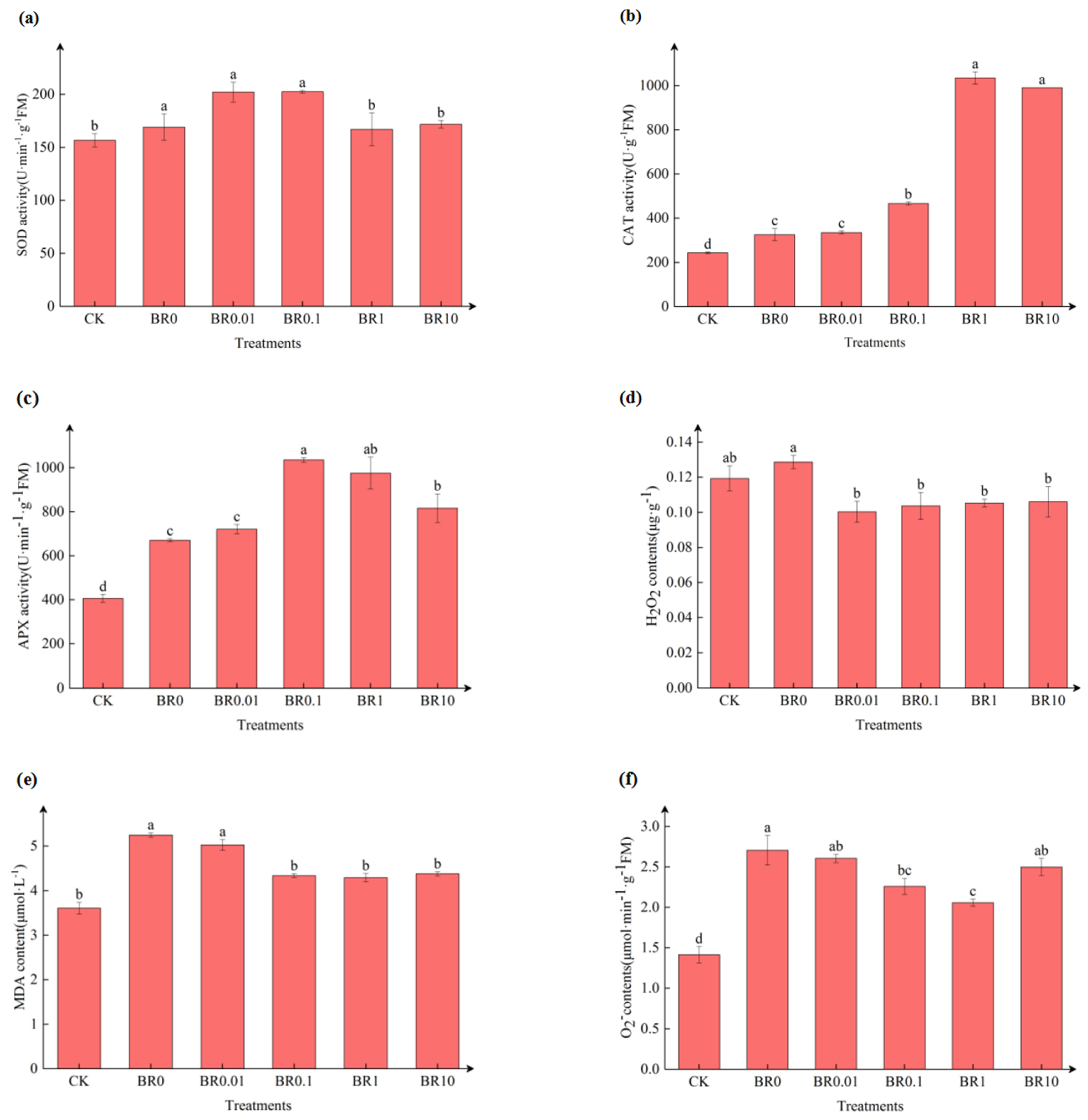 Agronomy 14 03035 g002