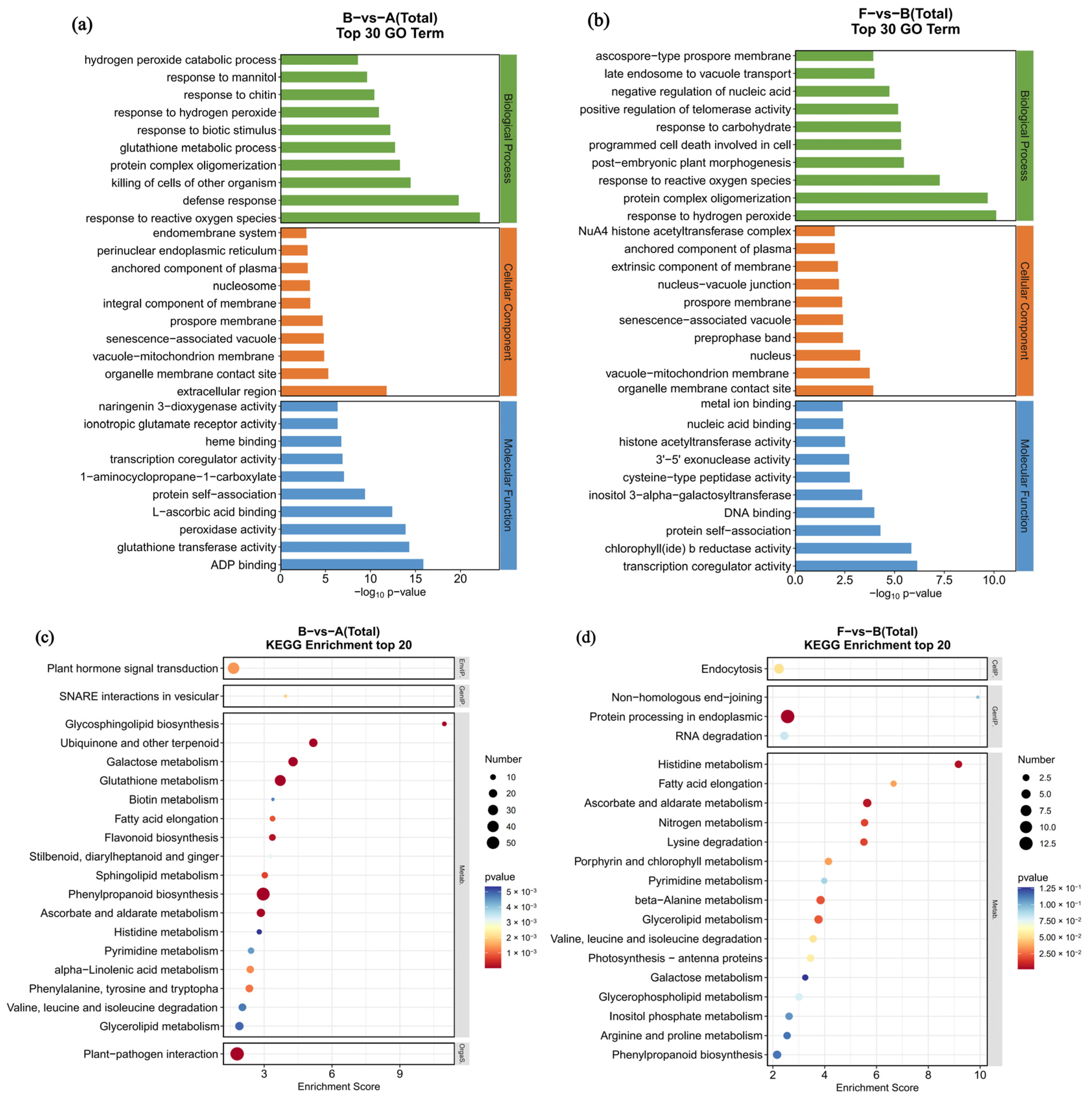 Agronomy 14 03035 g005
