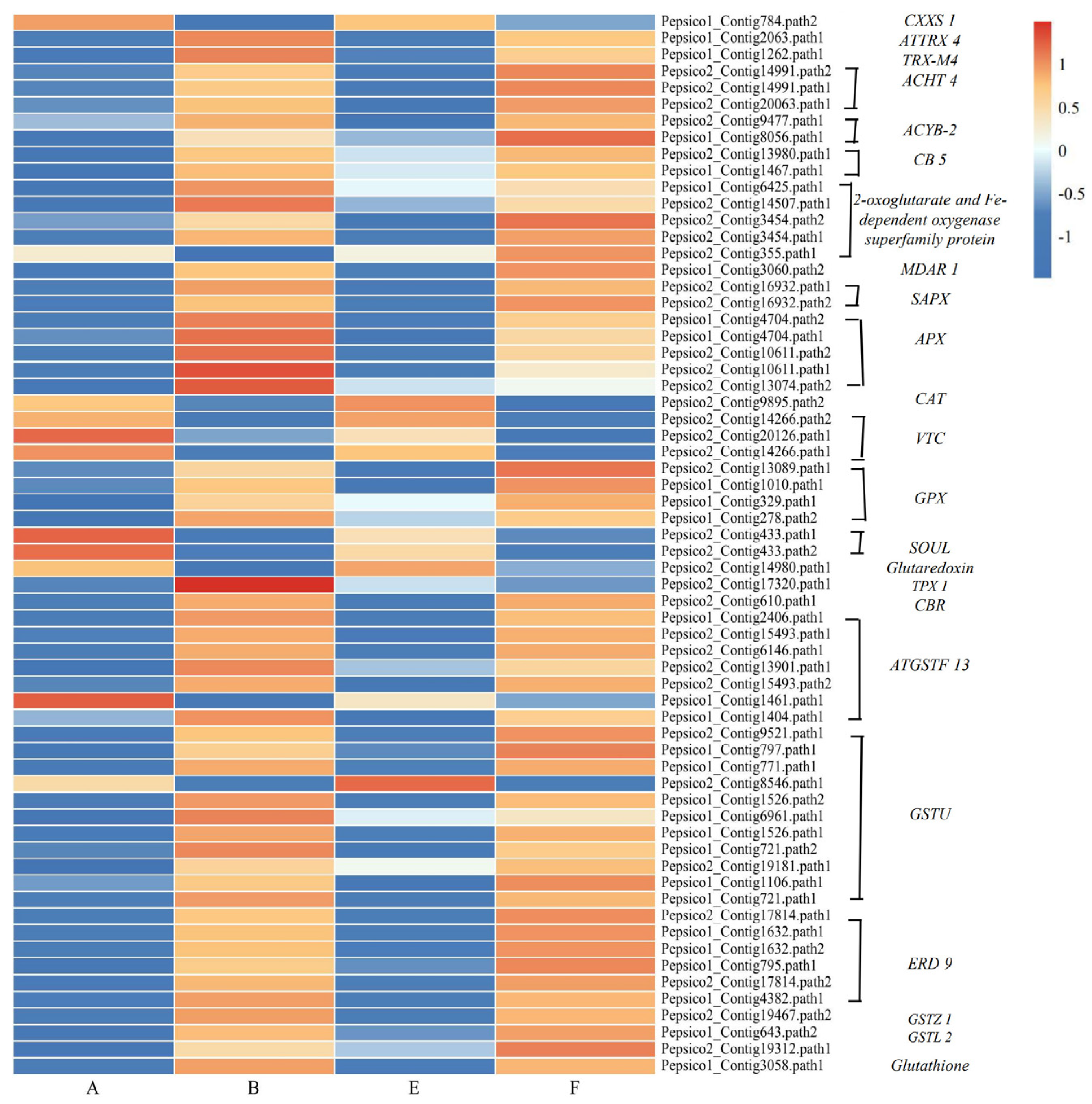Agronomy 14 03035 g007
