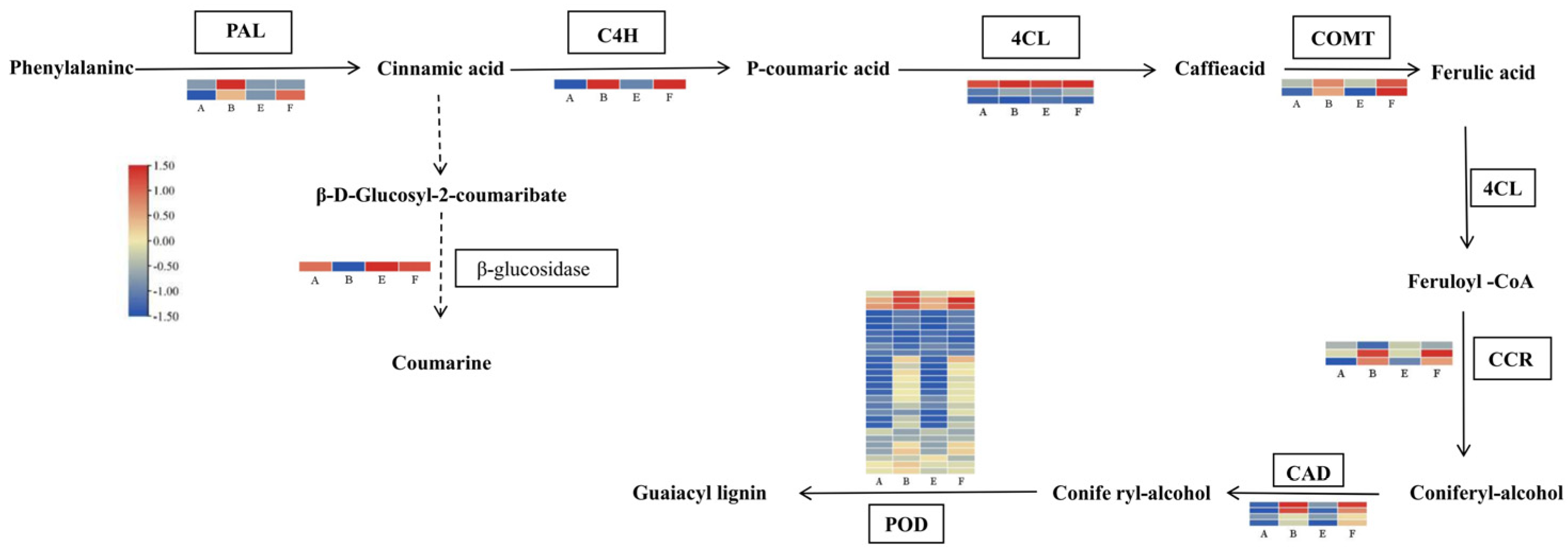 Agronomy 14 03035 g010