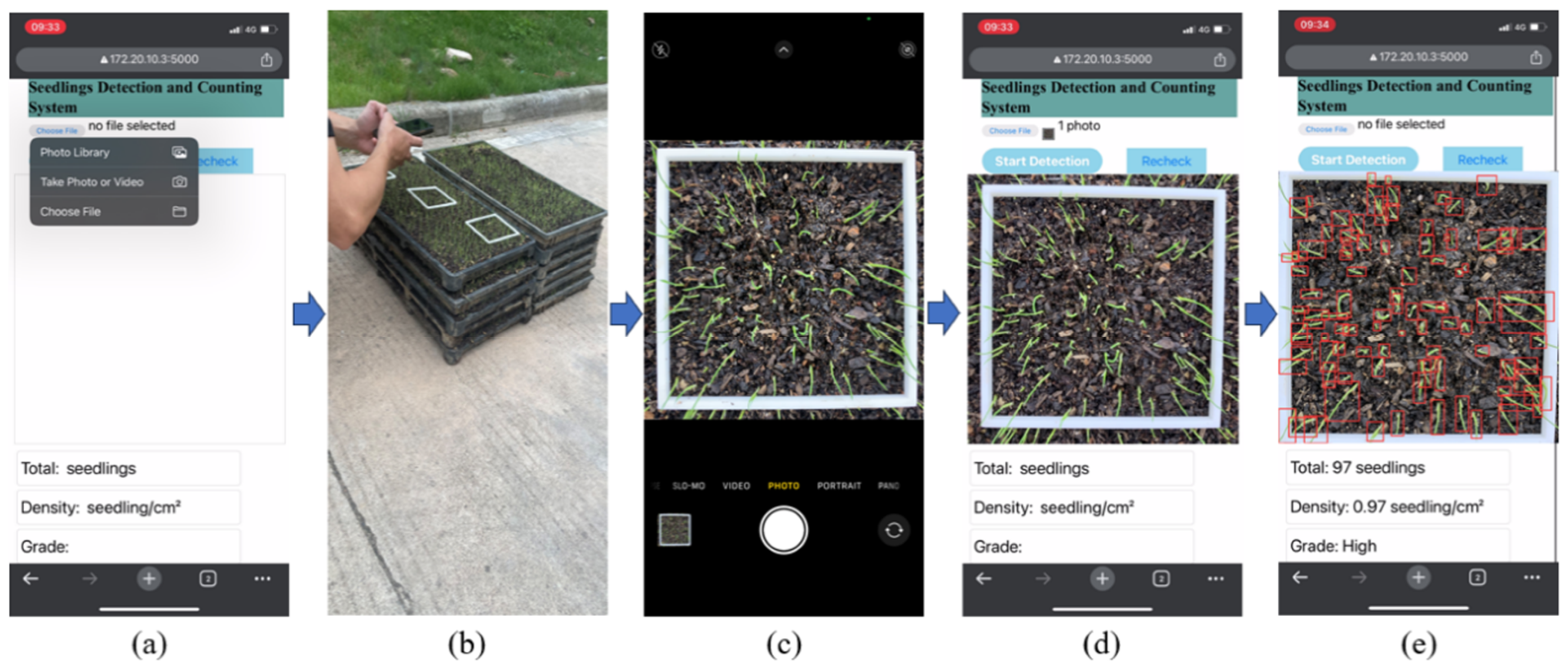 Agronomy 14 03066 g007