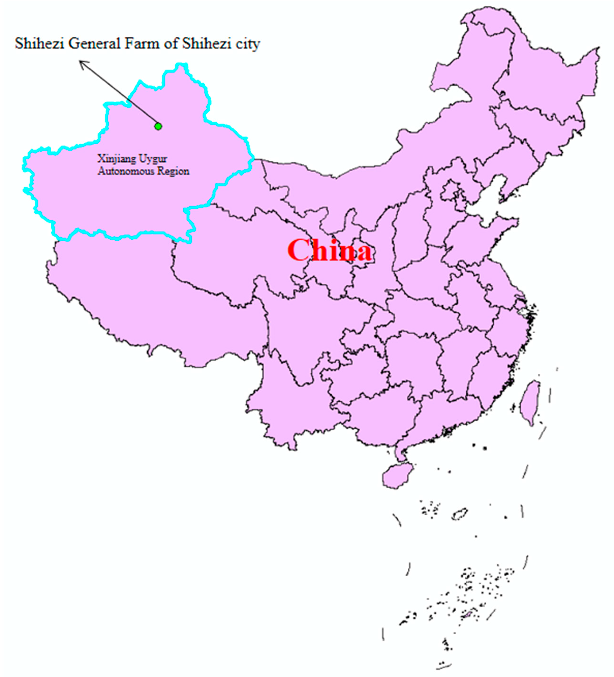 Agronomy 15 00019 g002