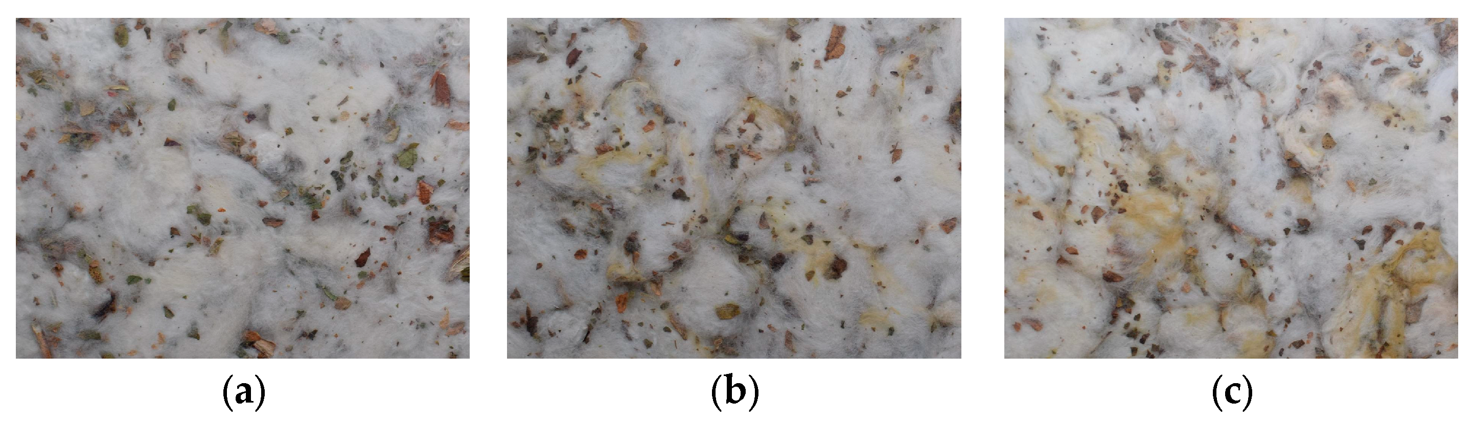 Agronomy 15 00019 g003