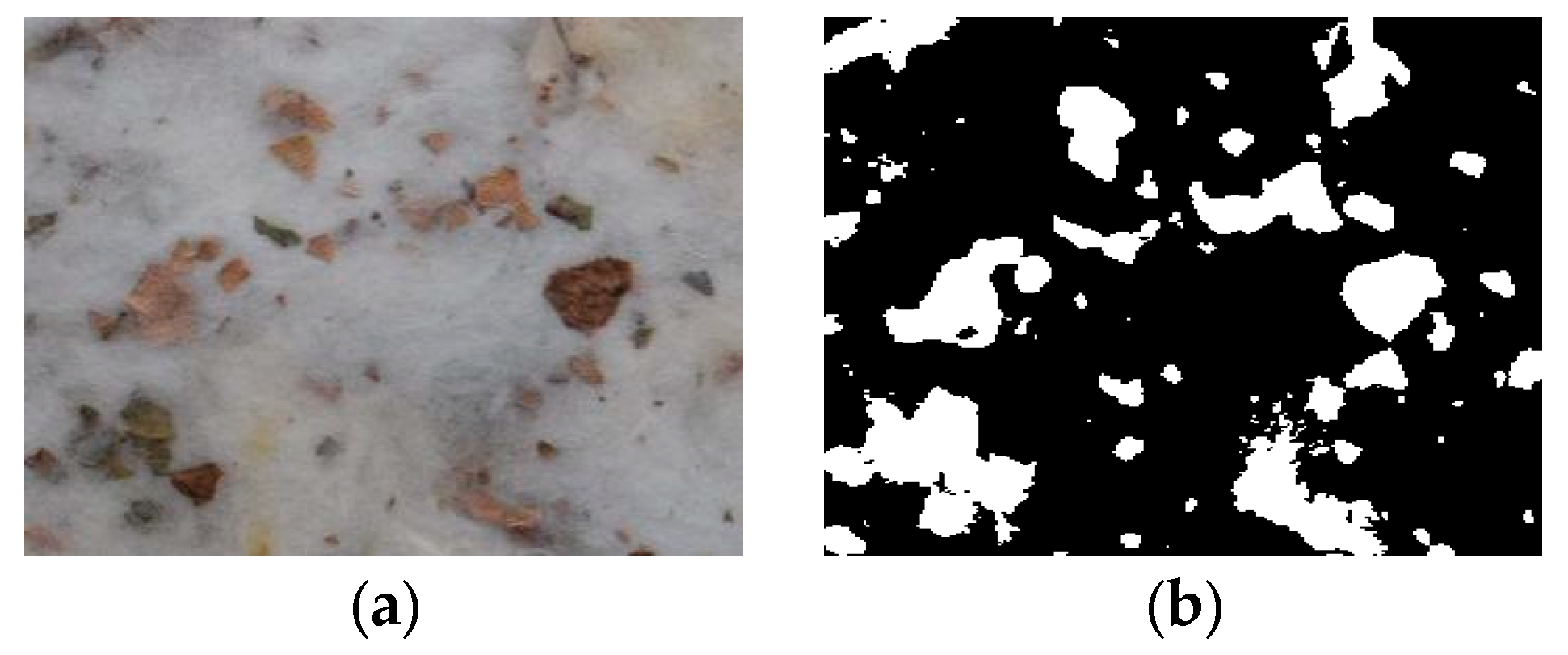 Agronomy 15 00019 g005