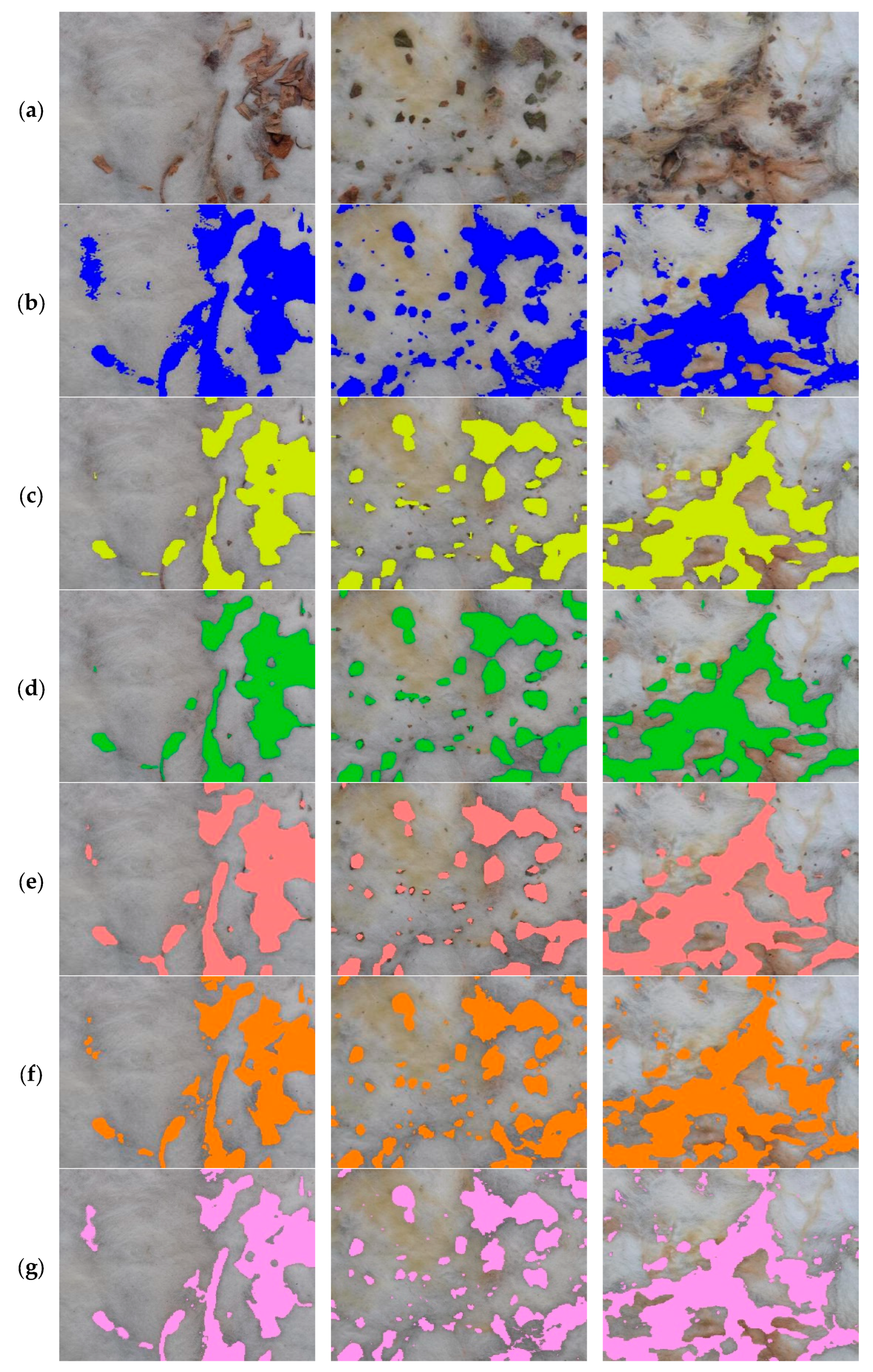 Agronomy 15 00019 g010