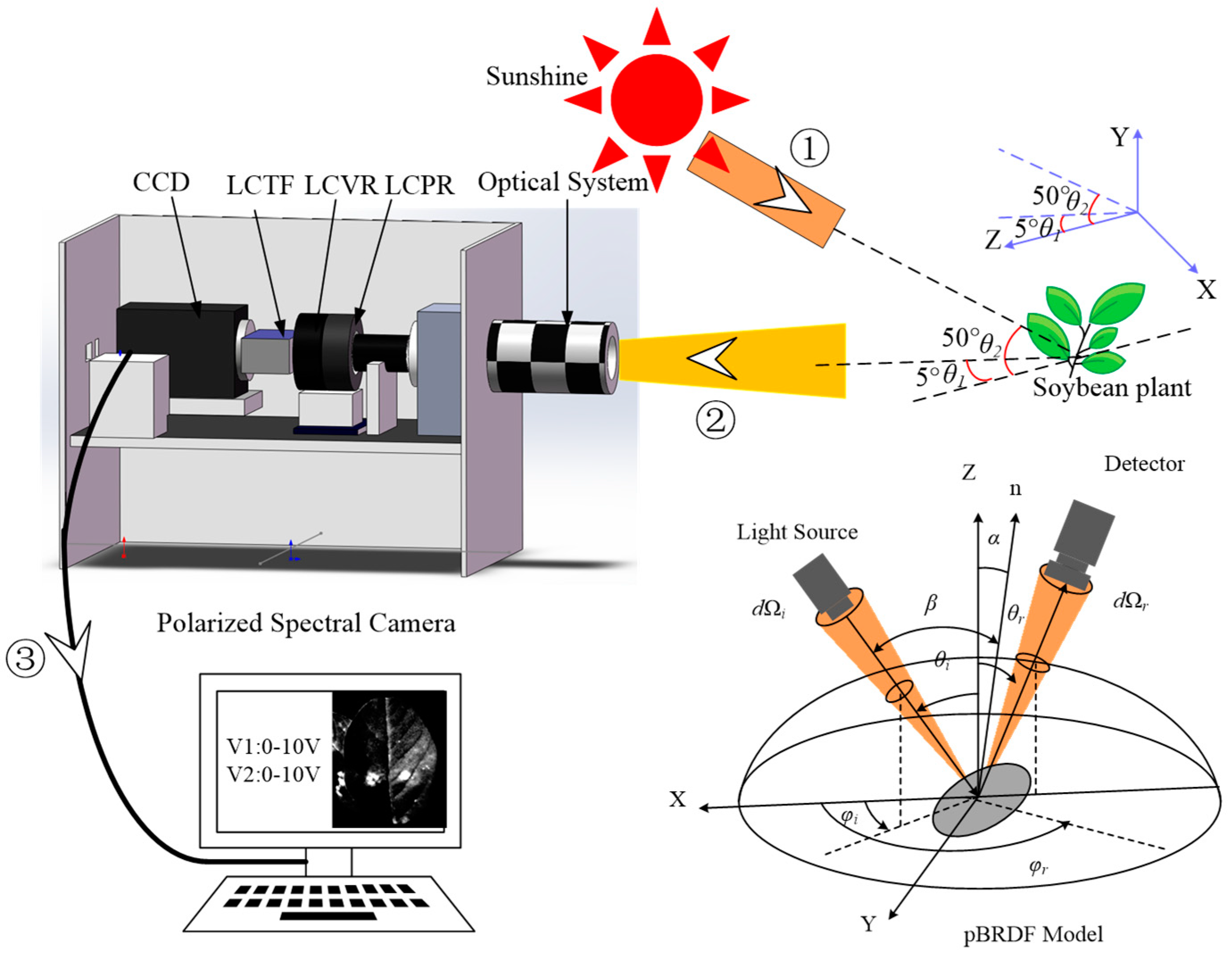 Agronomy 15 00050 g004