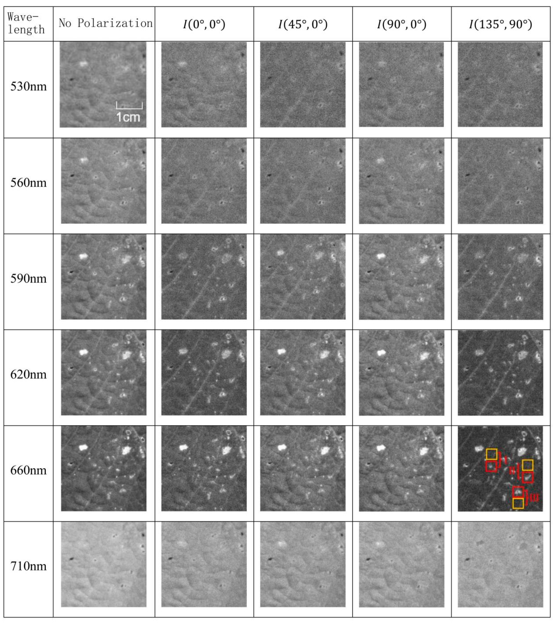 Agronomy 15 00050 g007