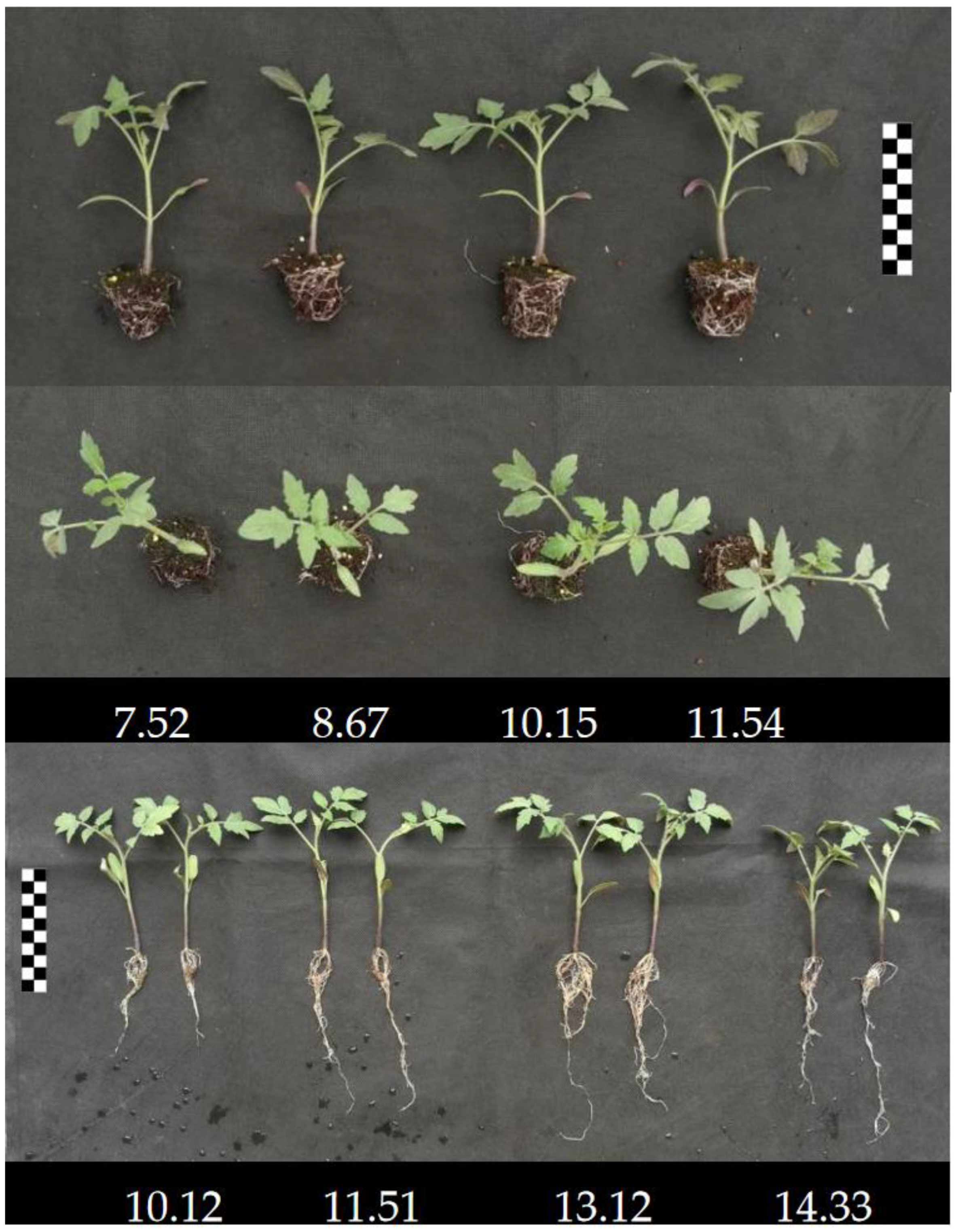 Agronomy 15 00070 g002