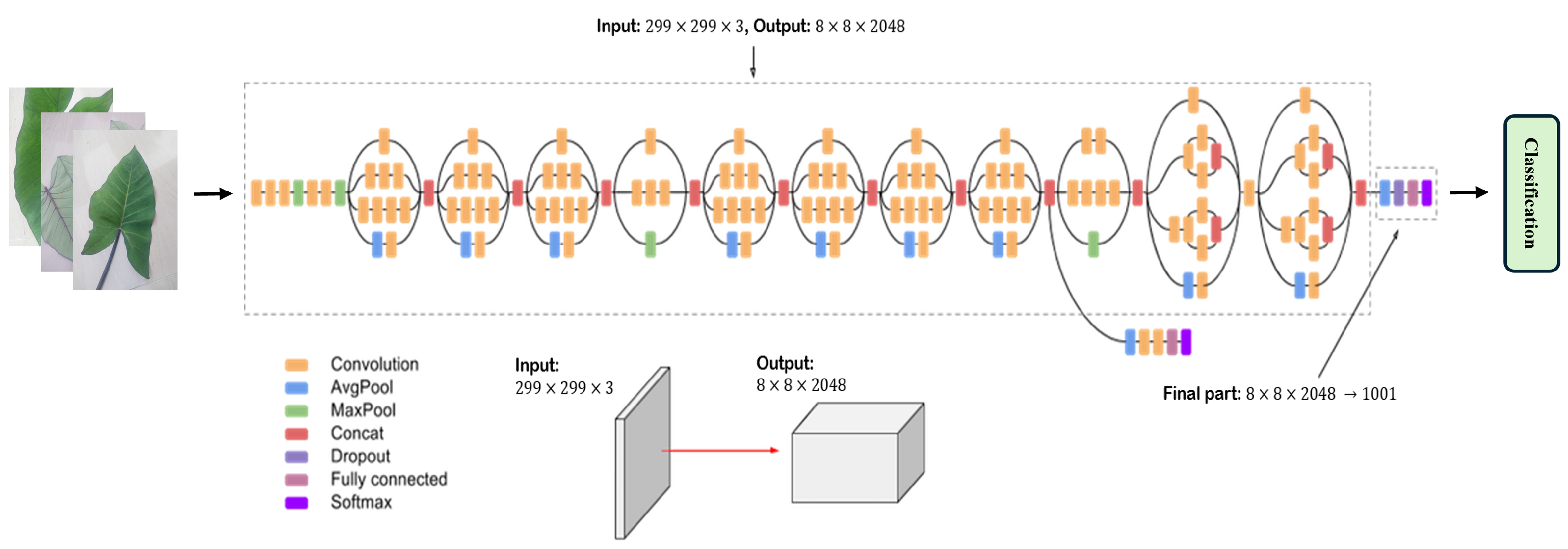 Agronomy 15 00077 g003