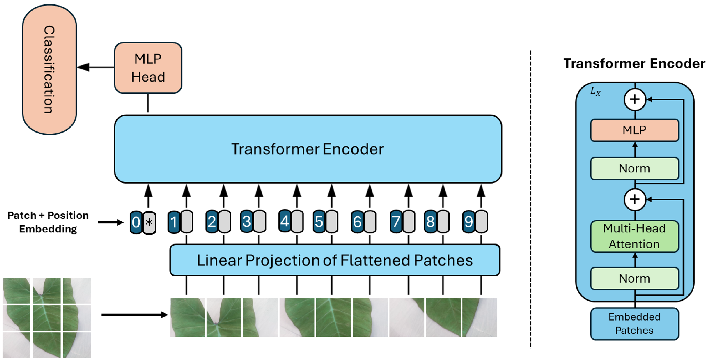 Agronomy 15 00077 g005