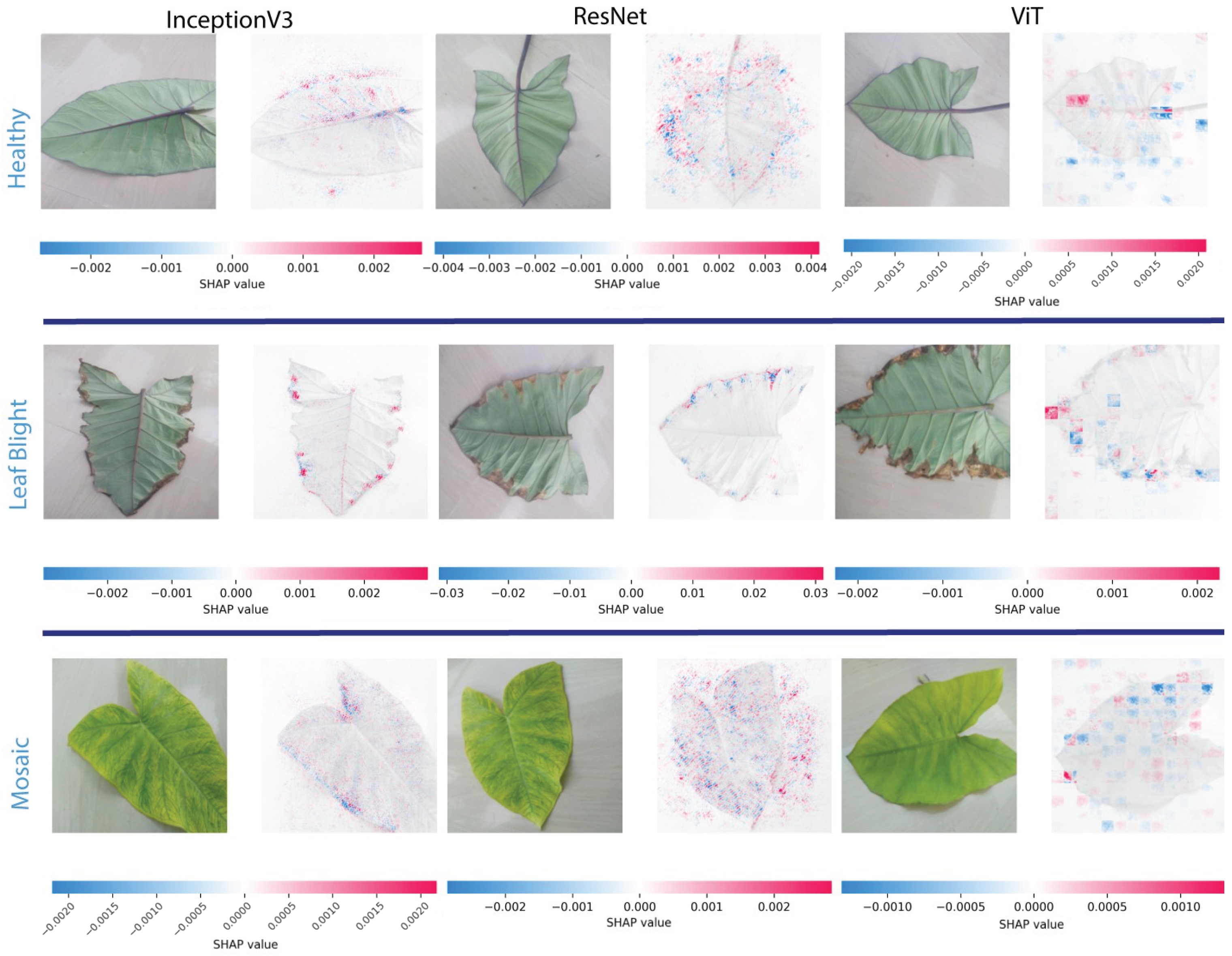 Agronomy 15 00077 g008
