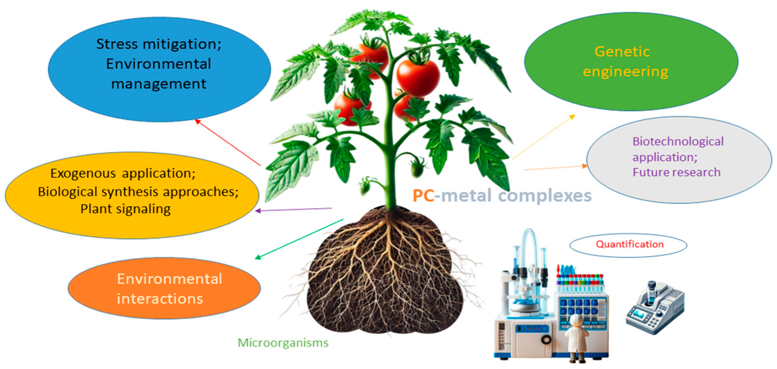 Agronomy 15 00080 g001