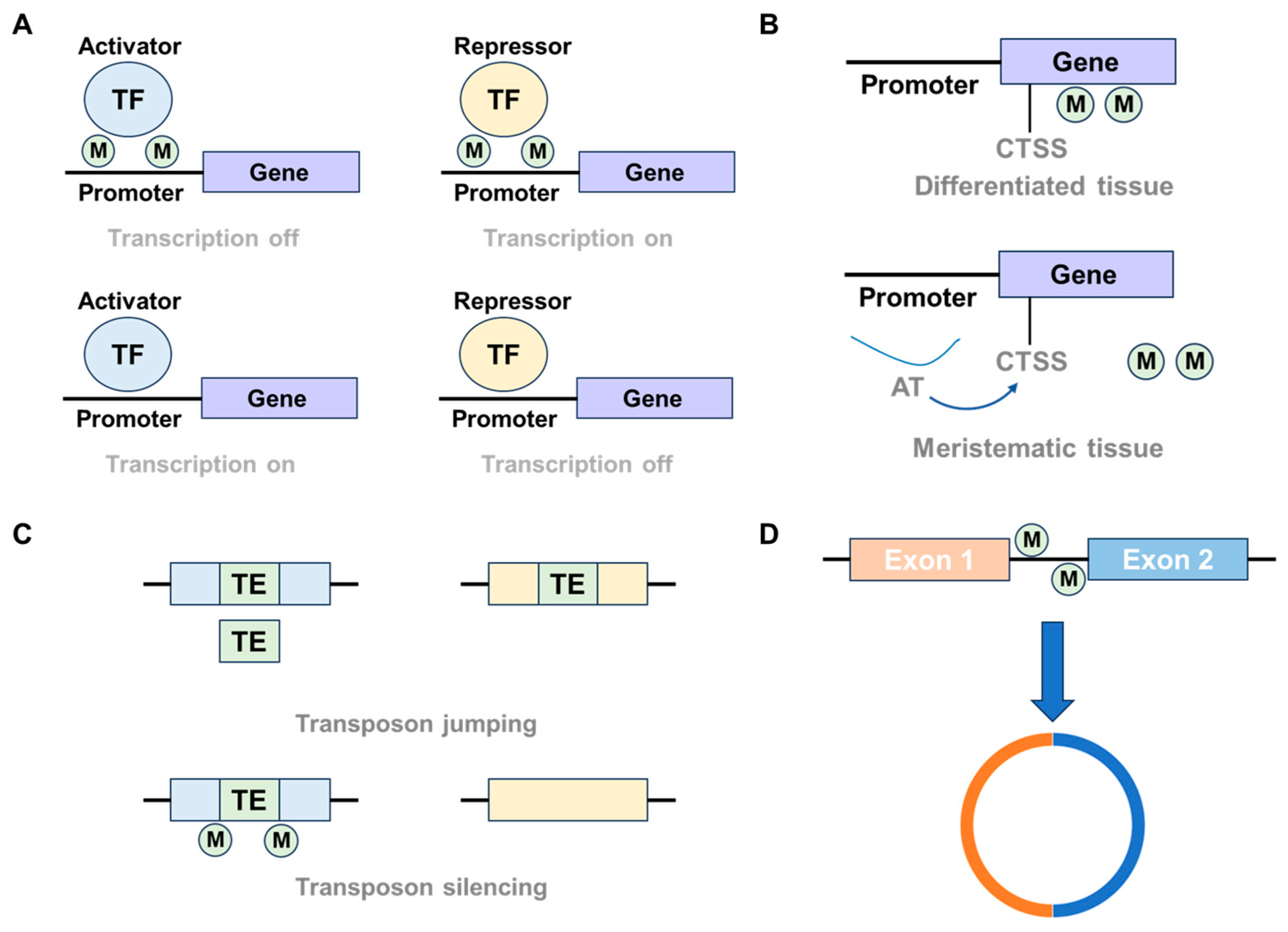 Agronomy 15 00094 g005