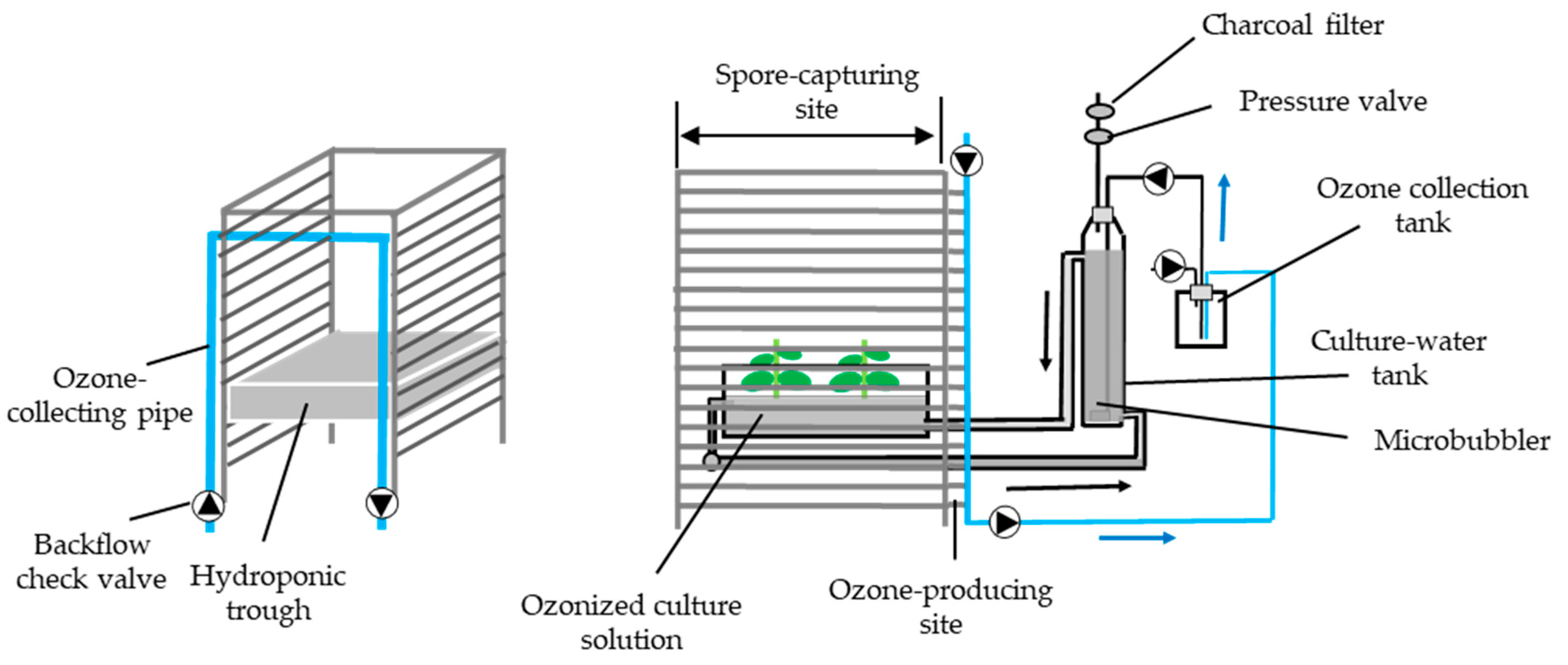 Agronomy 15 00123 g001