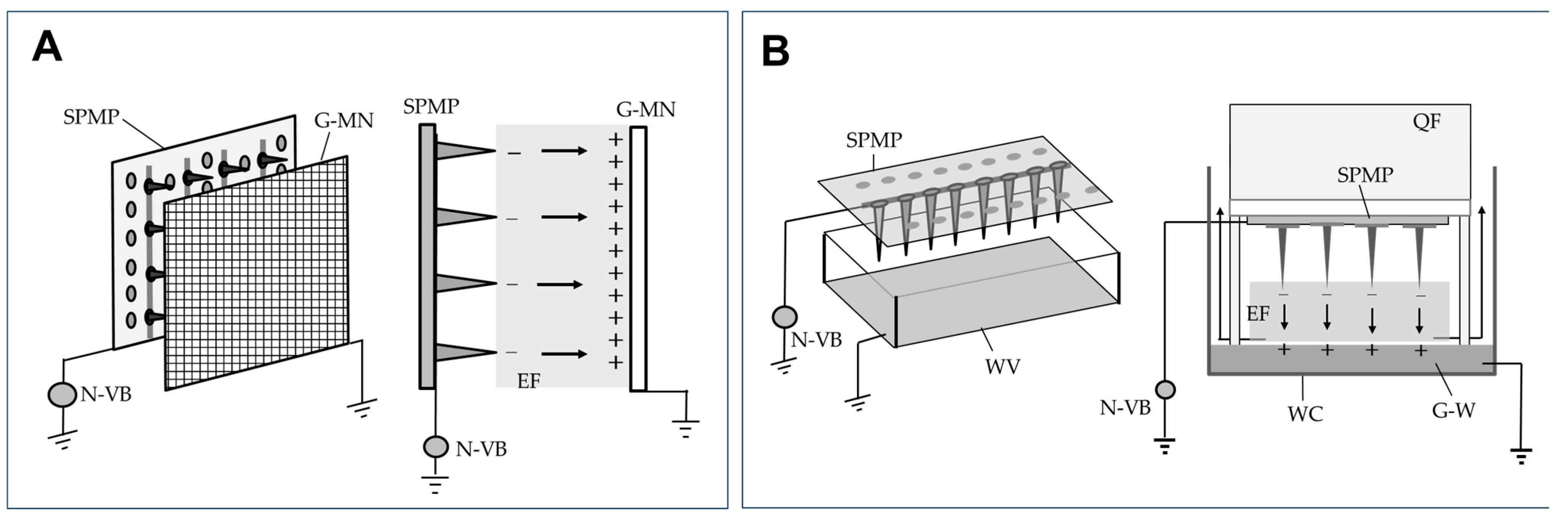 Agronomy 15 00123 g004