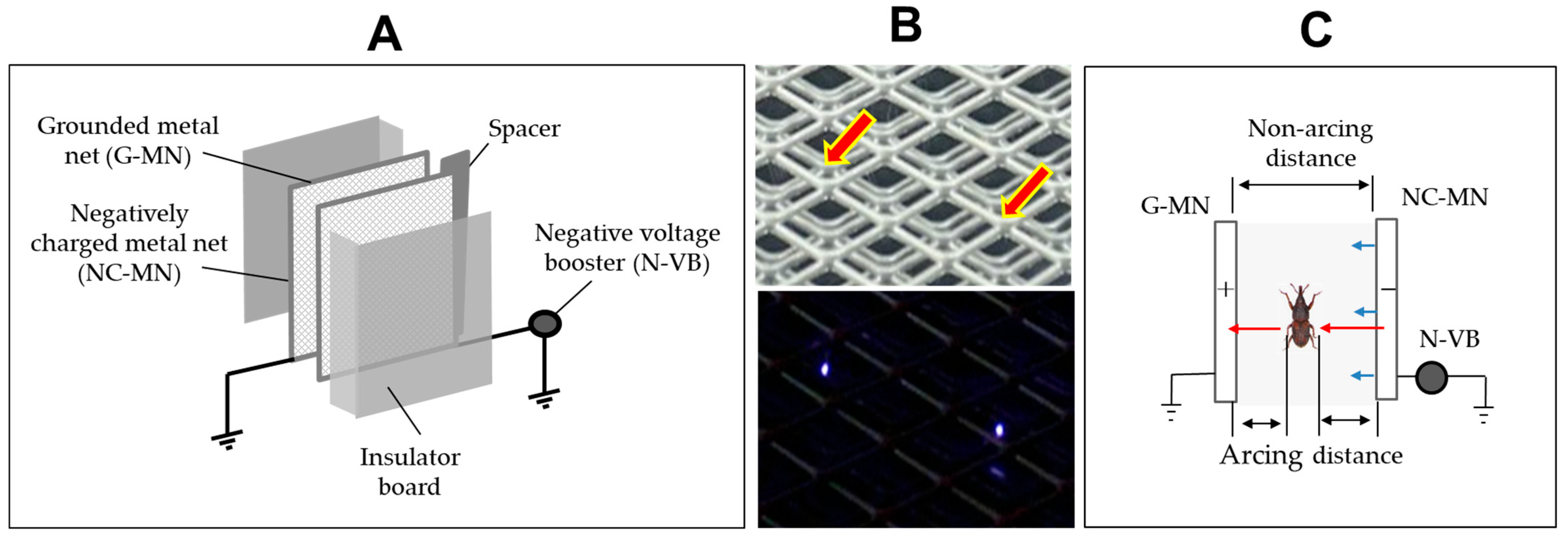 Agronomy 15 00123 g005