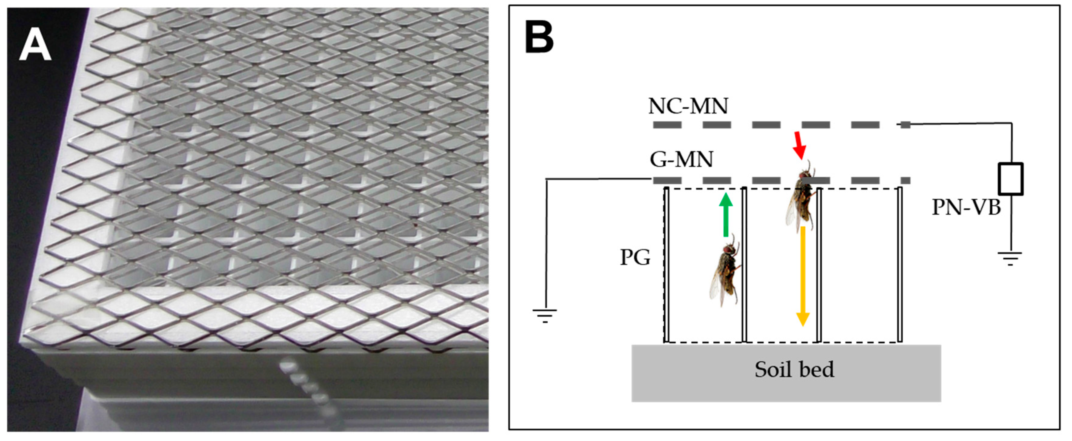 Agronomy 15 00123 g006