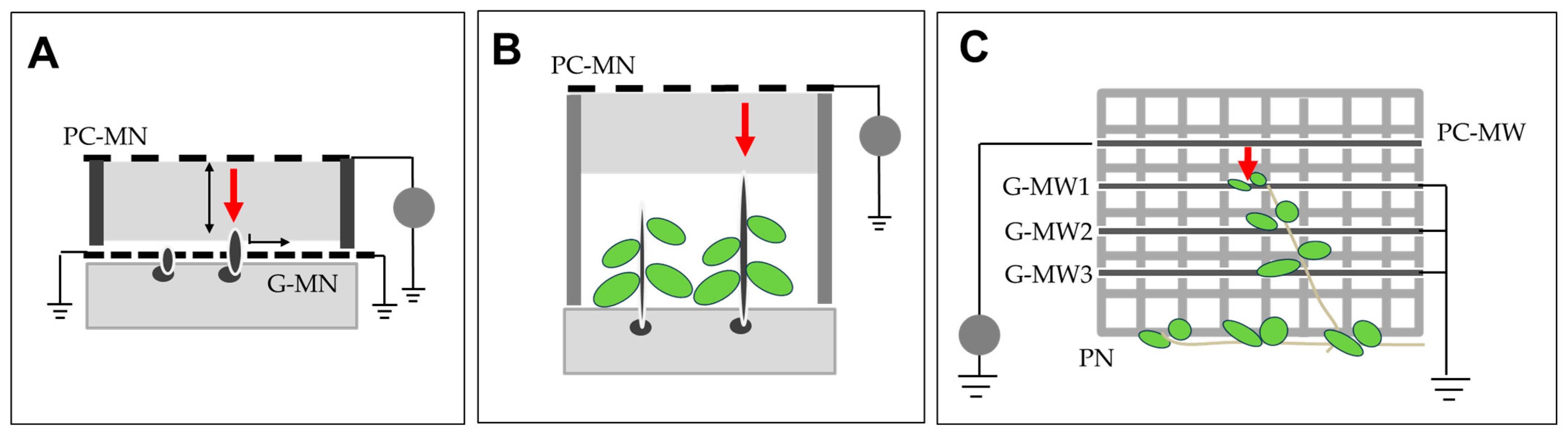 Agronomy 15 00123 g007