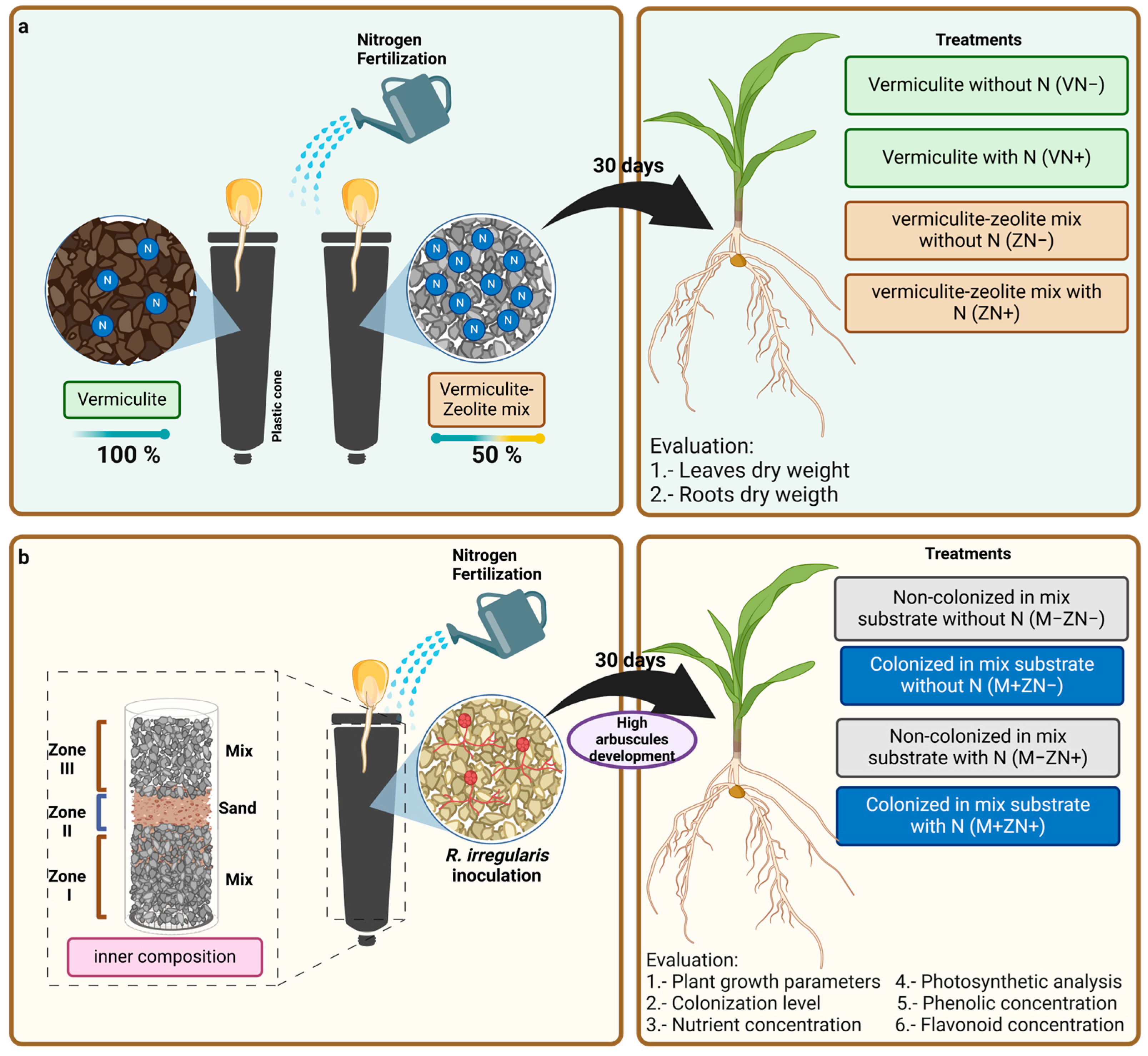 Agronomy 15 00156 g001