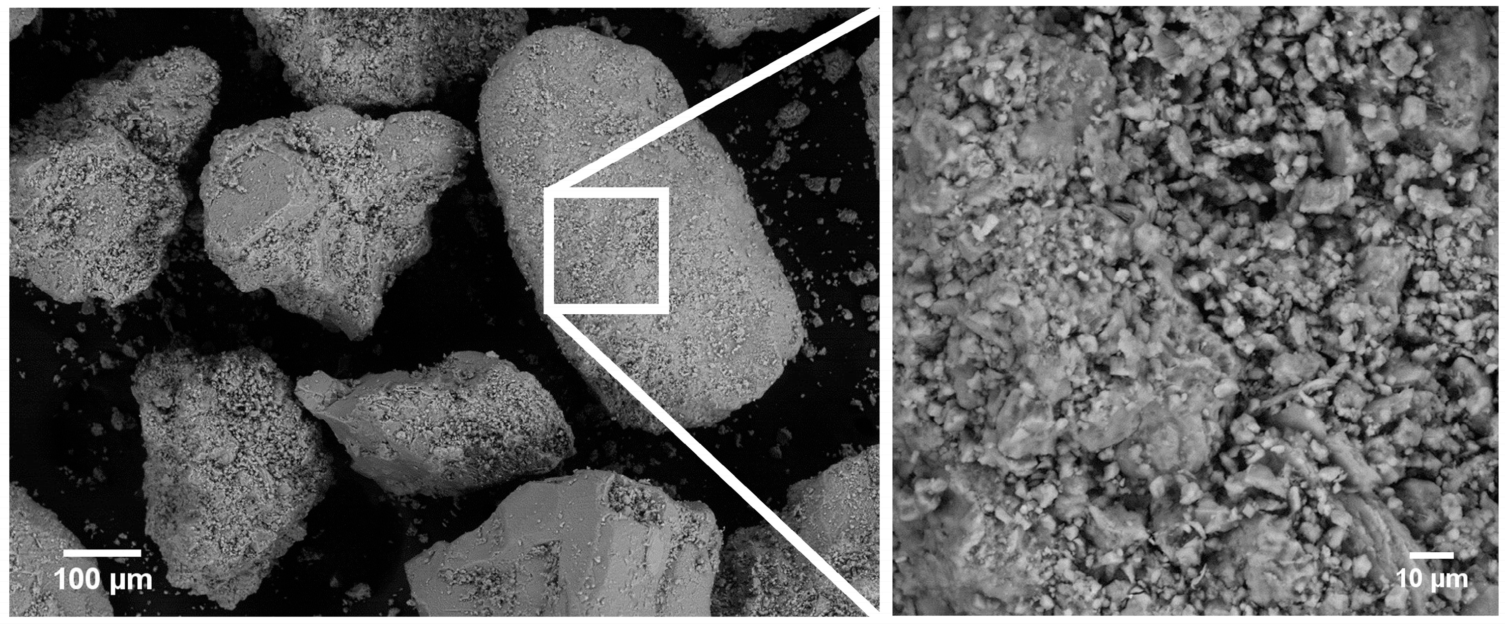 Agronomy 15 00156 g002