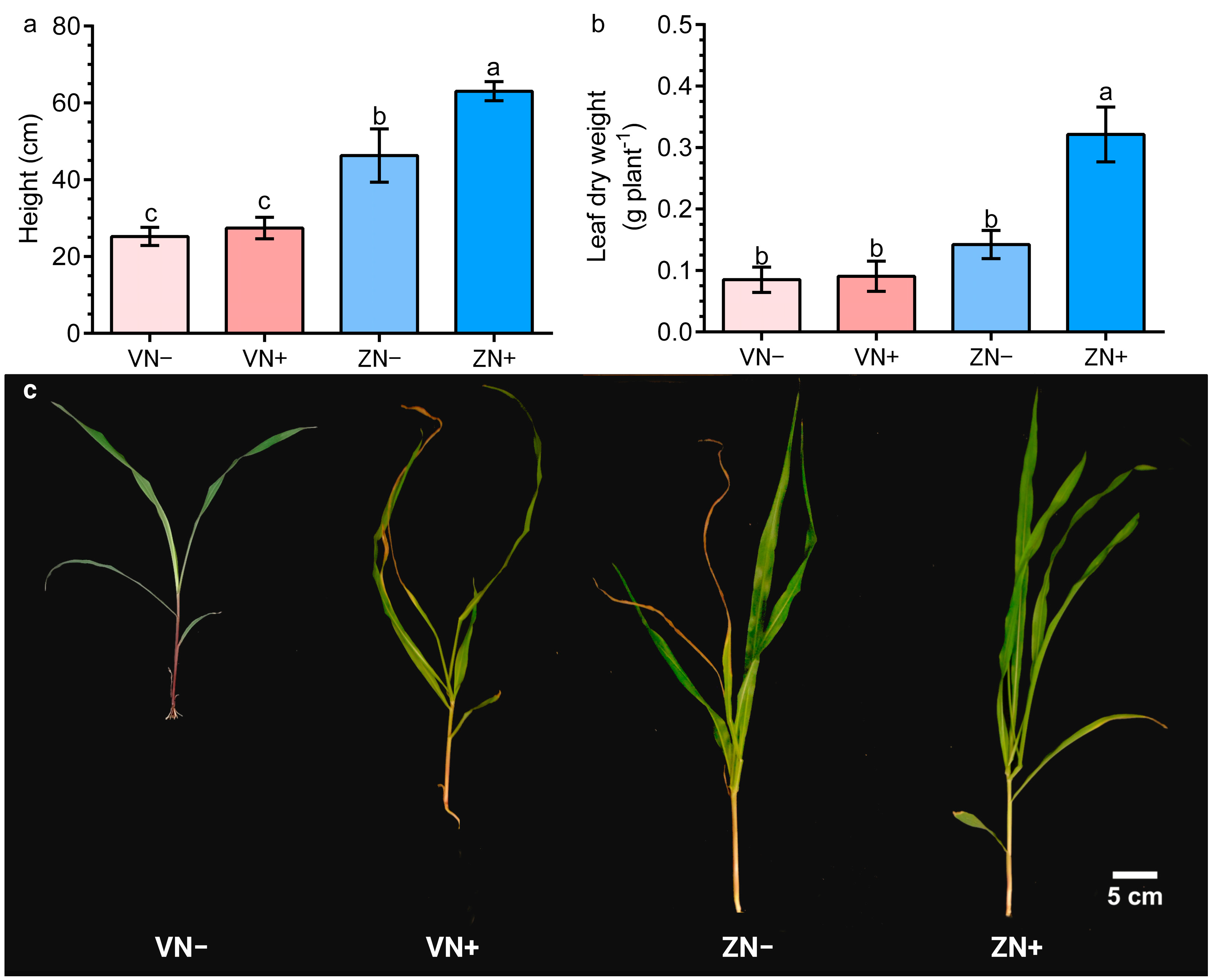 Agronomy 15 00156 g005